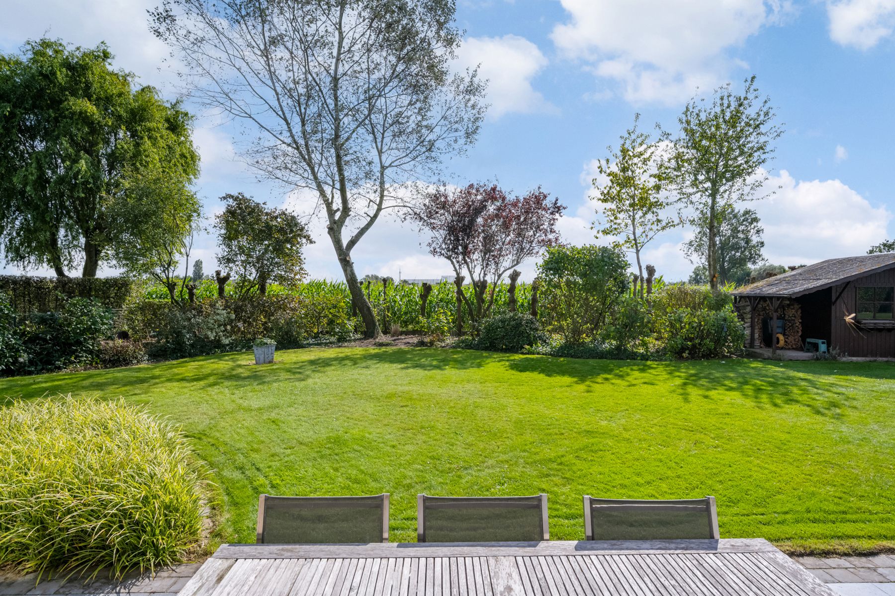Ruime woning met OPTIE aankoop bouwgrond ernaast foto 17