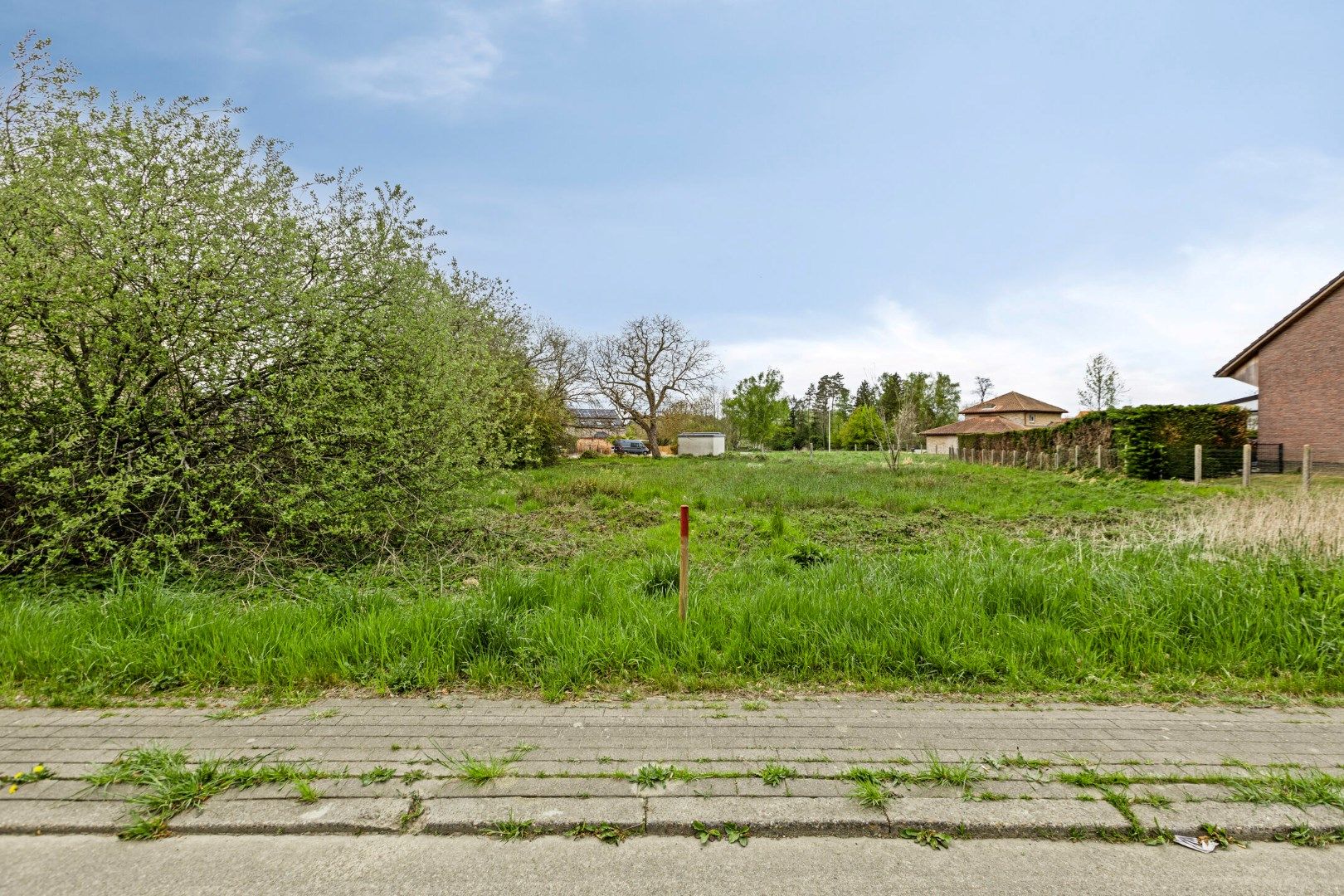 Prachtig perceel bouwgrond voor open bebouwing in Waanrode met een opp van 8a 18ca foto 3