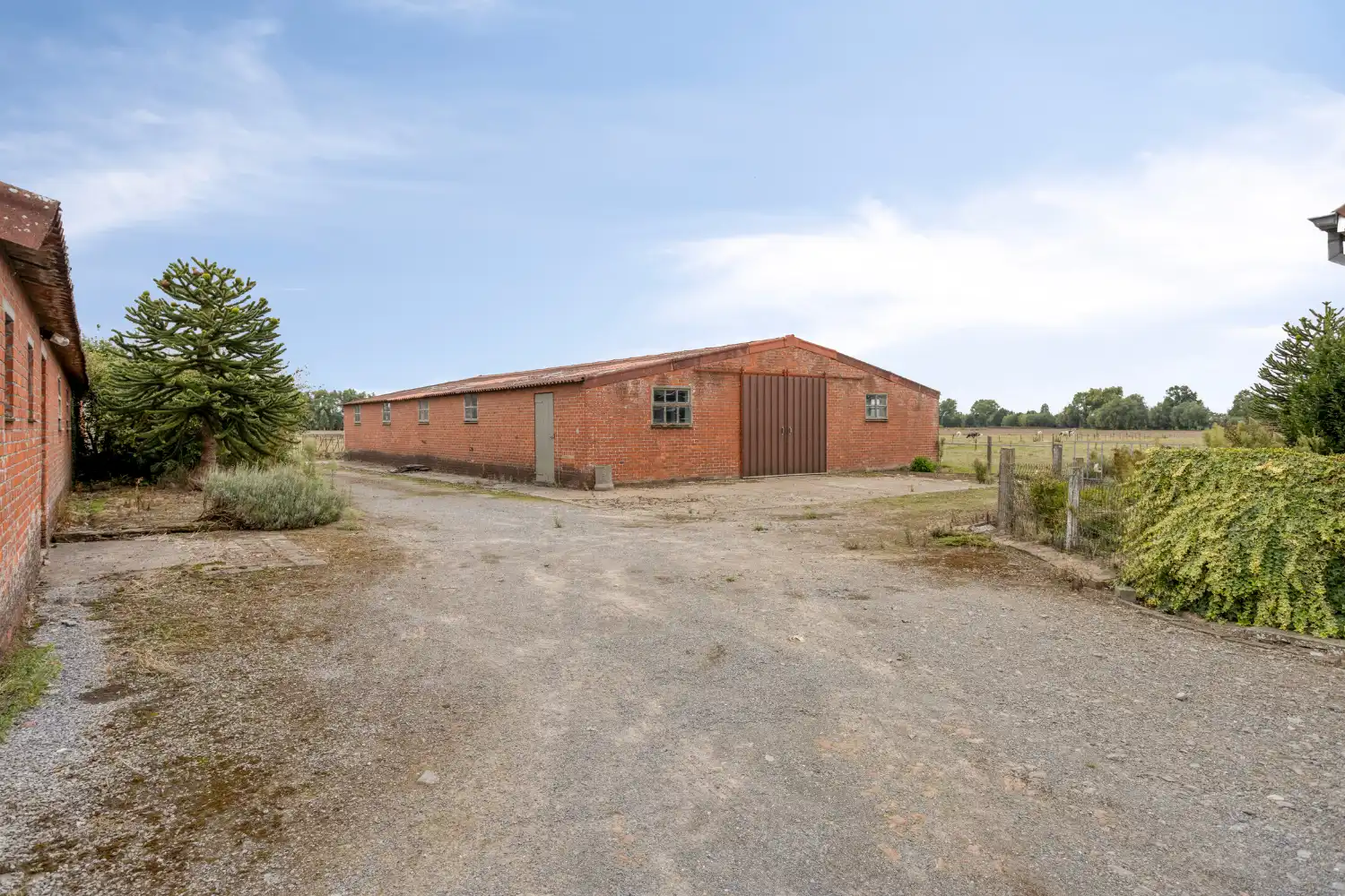 Authentieke hoeve met bijgebouwen in Baliebrugge op een oppervlakte van 7937 m² foto 17