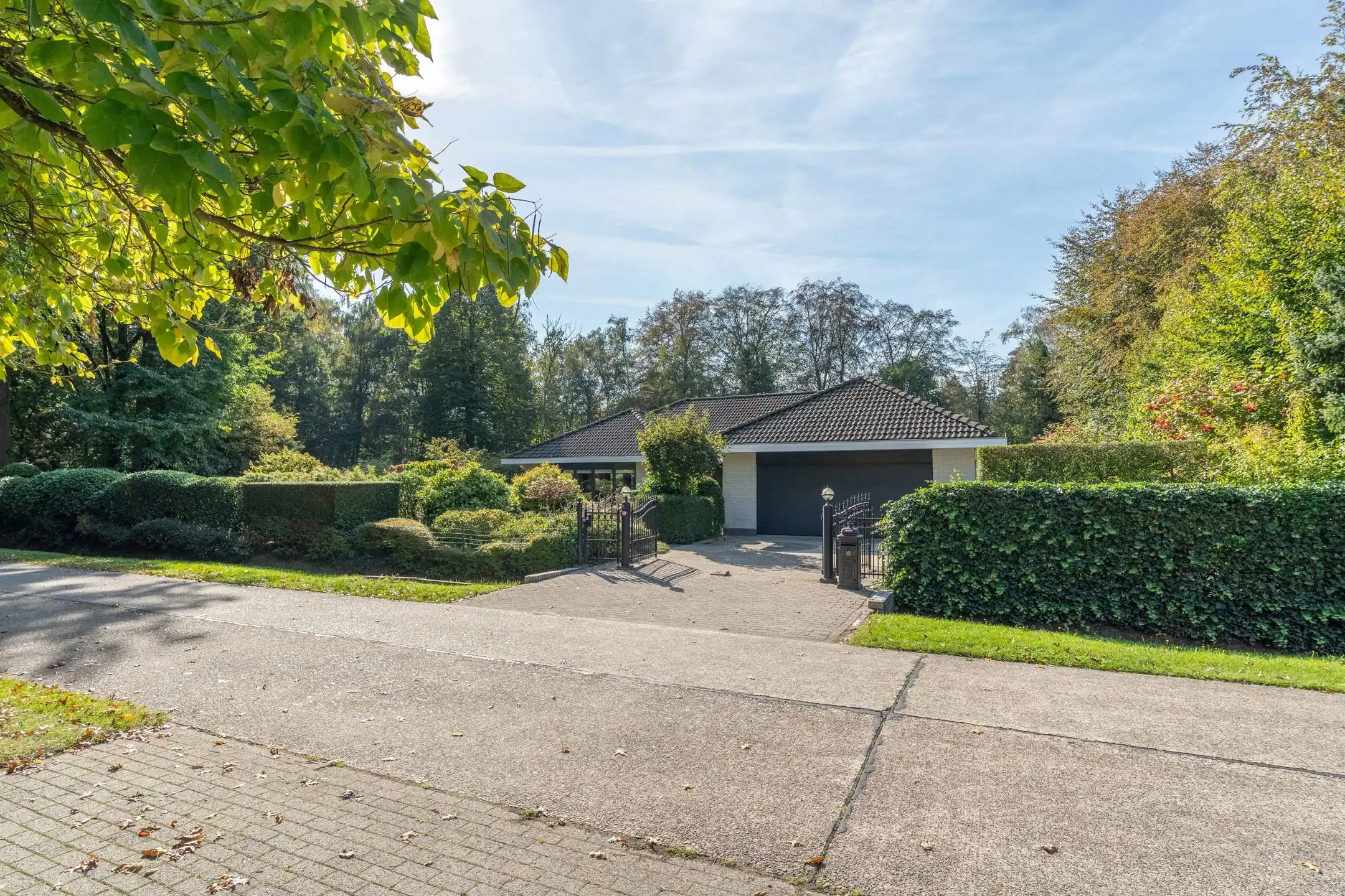 Instapklare gelijkvloersvilla met unieke parktuin op 2.086 m²  foto 4