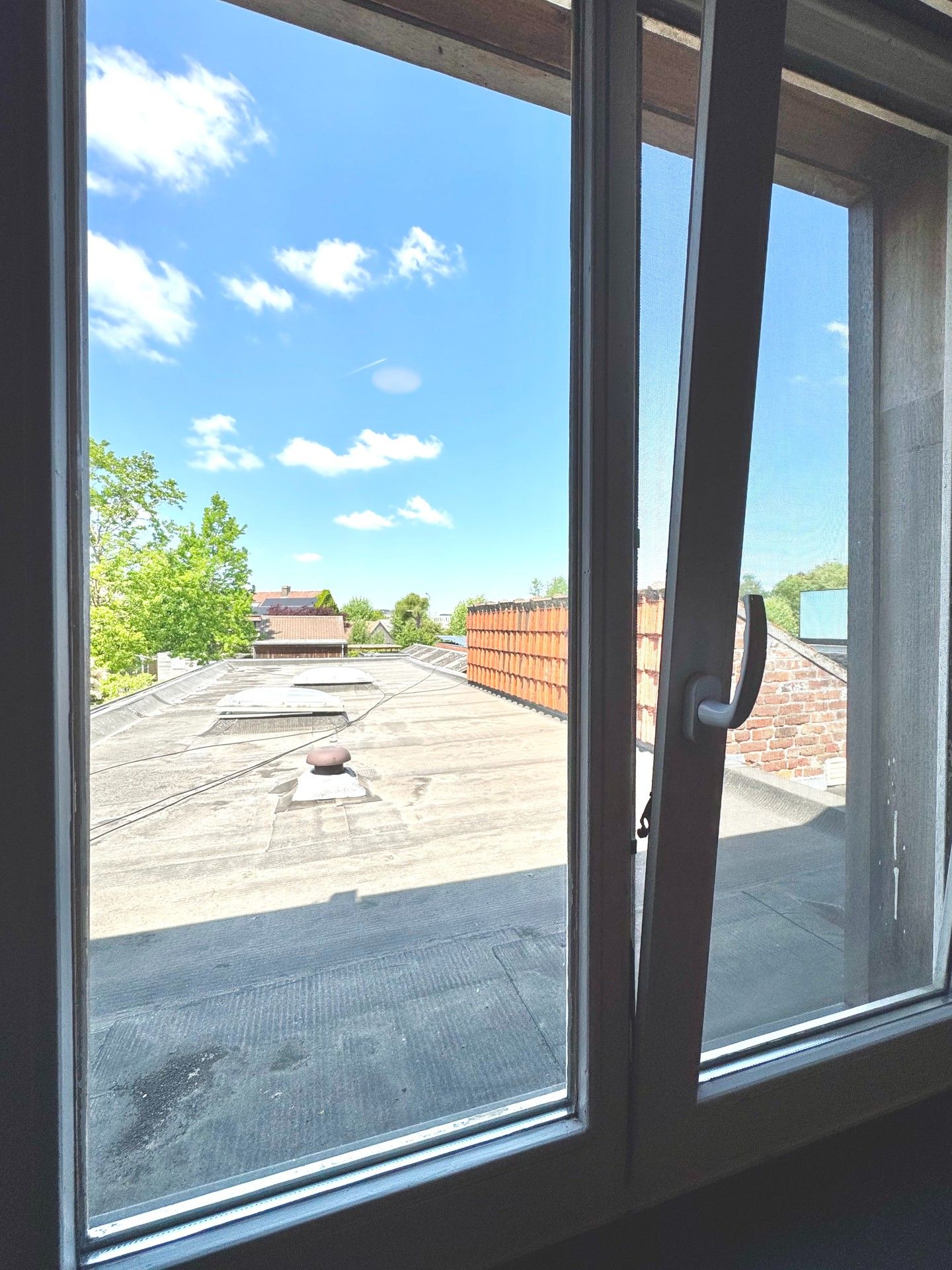 HOB met BIJGEBOUW en uitweg achteraan op 416 m² foto 36