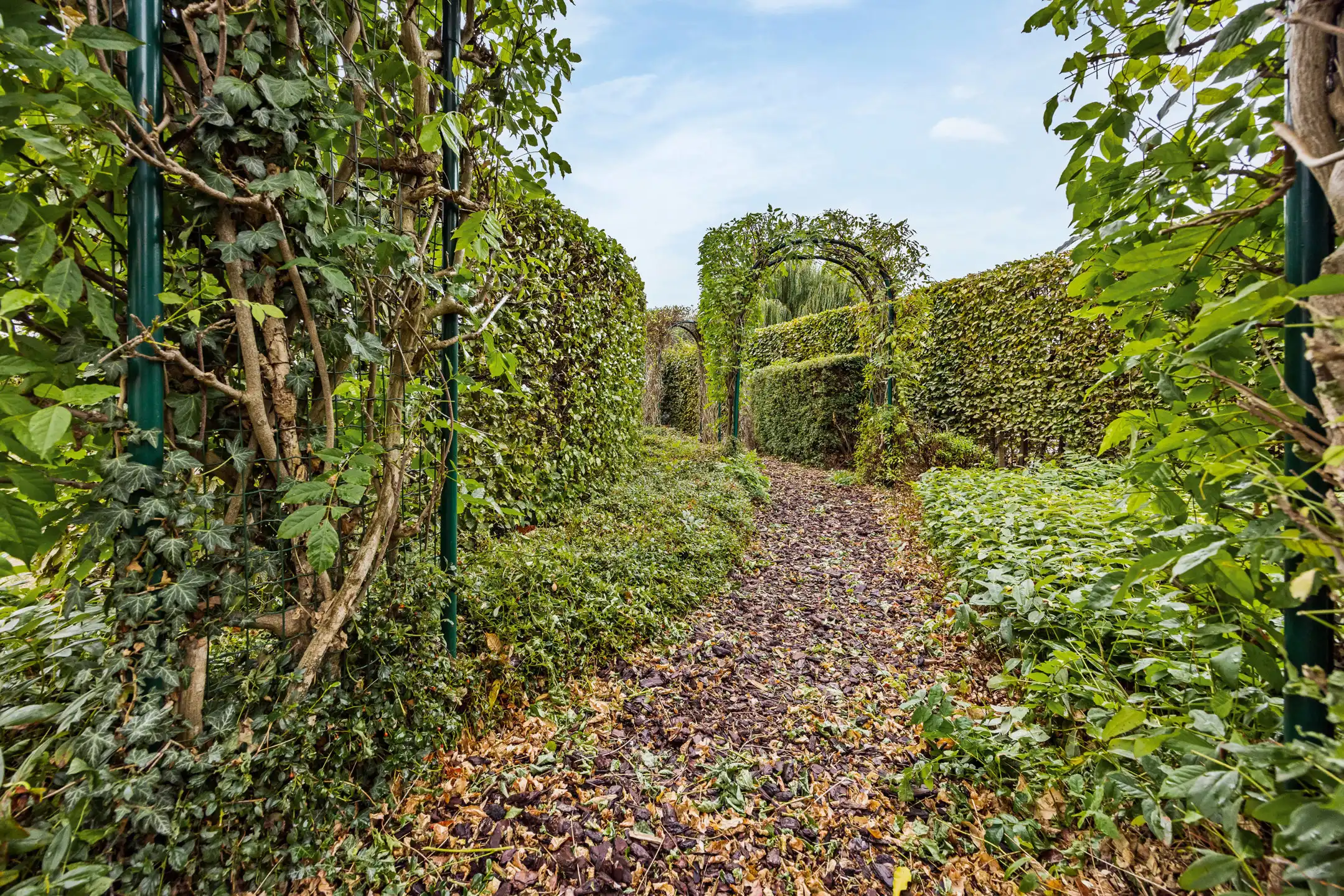 Exclusieve villa met zonnige tuin in Mal foto 40