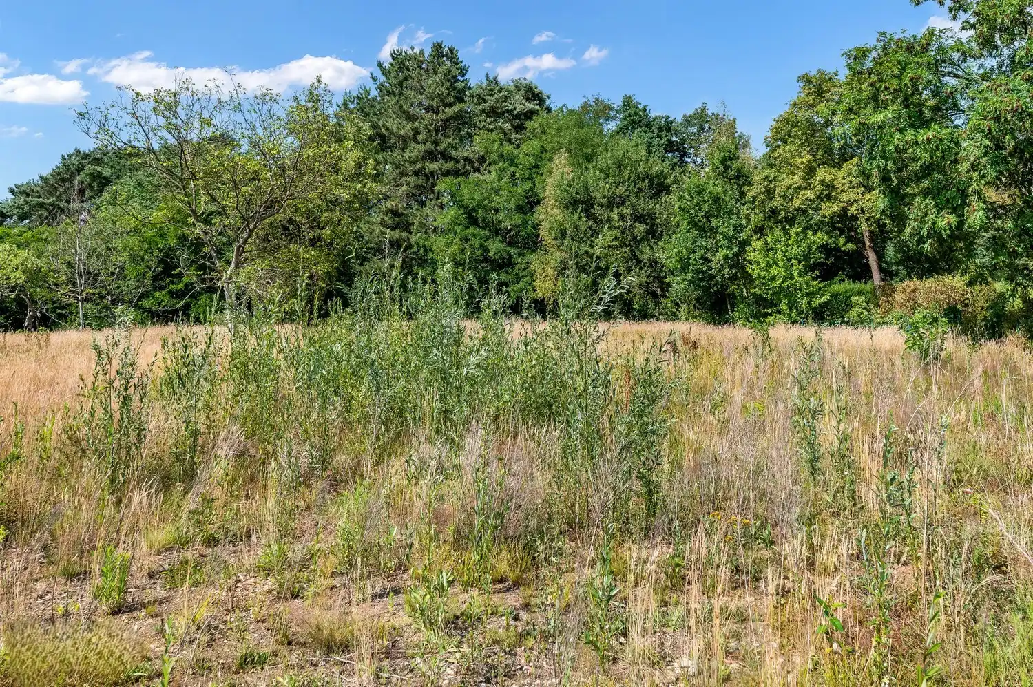 Bouwgrond van 1620 m² voor open bebouwing te Tessenderlo-Ham foto 7
