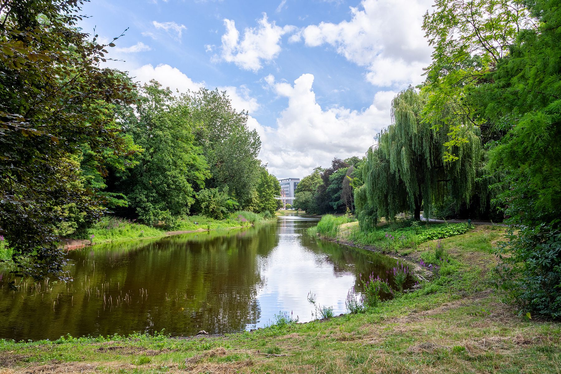 Stadspark - Ruim 3 slpk app. met terras  foto 24