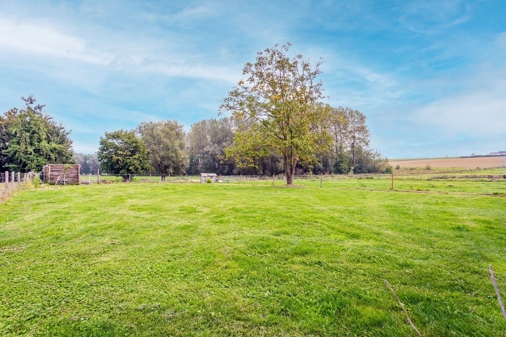 Instapklare hoeve op 1,1ha te Pepingen foto 25