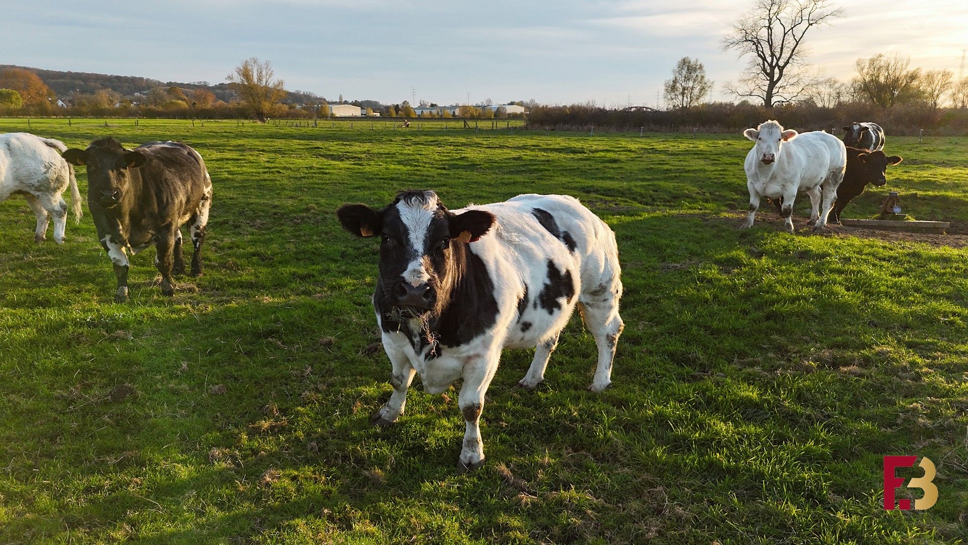 Ruim wonen met zicht op de natuur foto 27