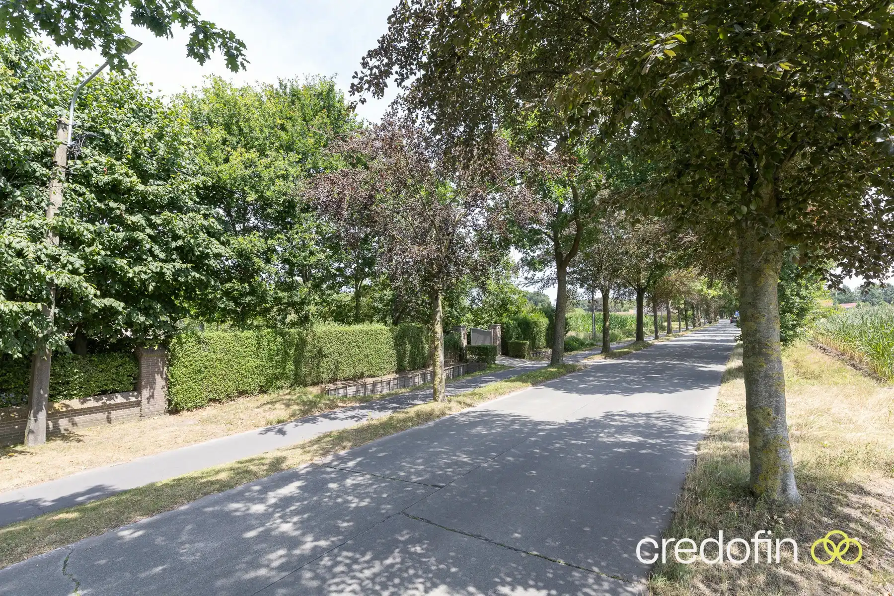 Exclusieve villa op een prachtig domein van 3.393 m² in het hart van het Meetjesland foto 25