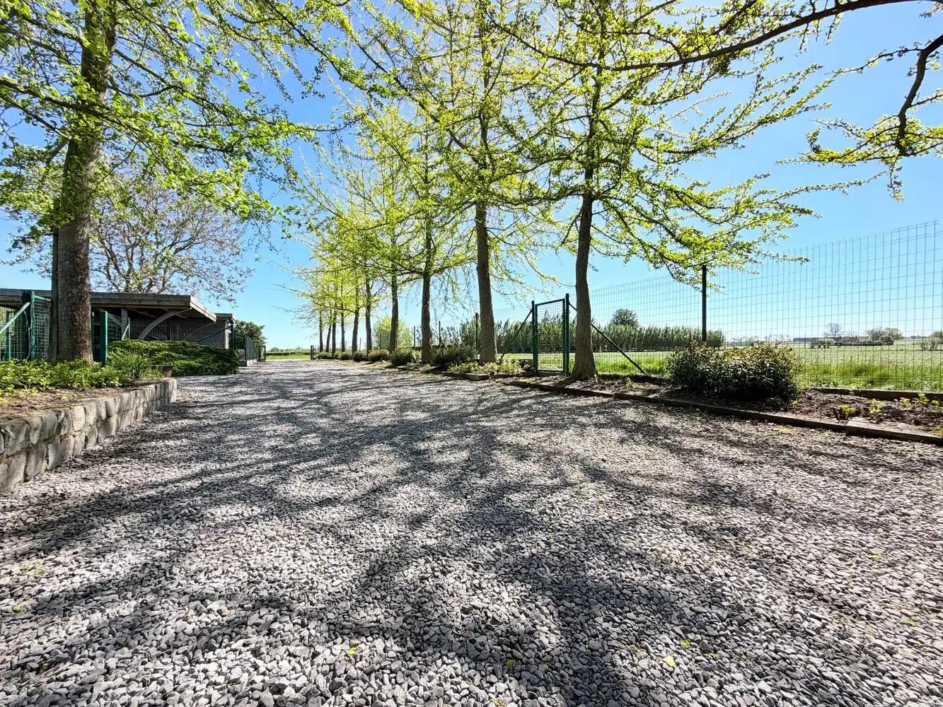 Exclusieve eigendom met 4 slaapkamers (5682m²) foto 20