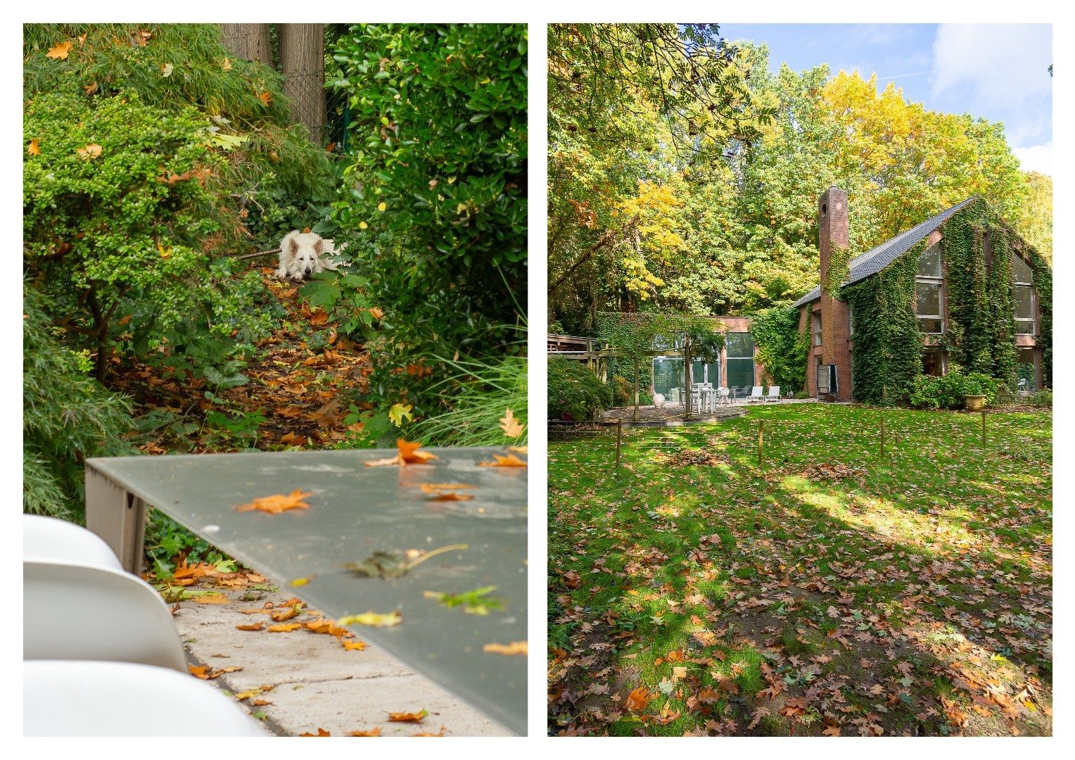 Villa op 3 345 m², droomlocatie te Sint-Martens-Latem foto 26