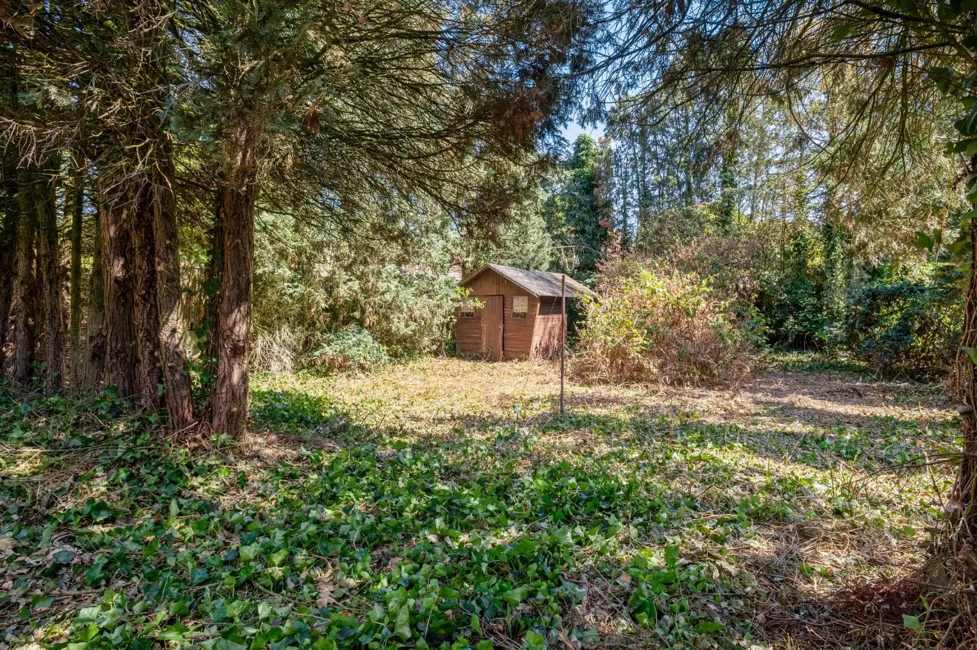 Te renoveren laagbouwwoning op een perceel van 600 m² foto 21
