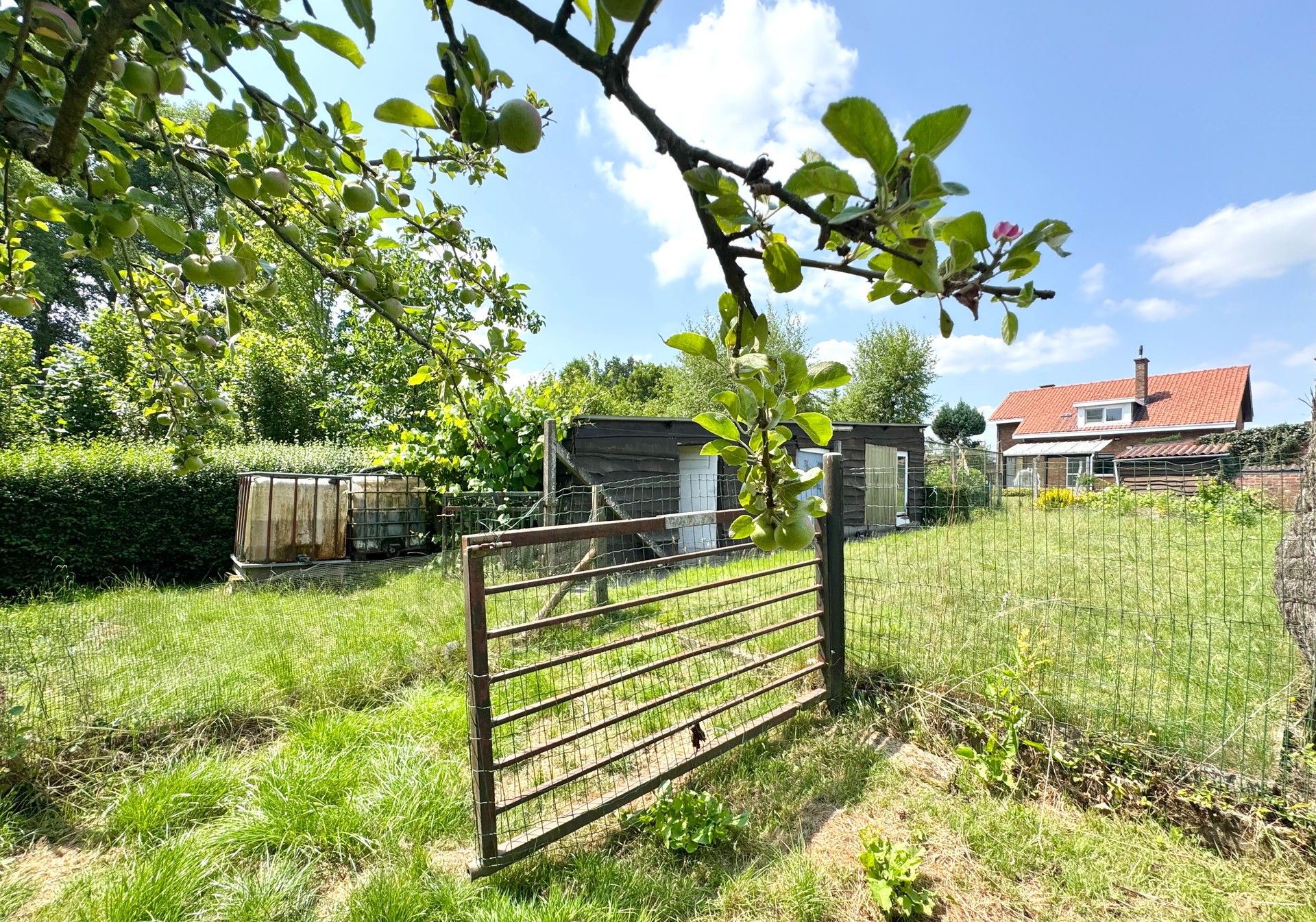 RUIME VRIJSTAANDE  WONING MET GROTE TUIN foto 3
