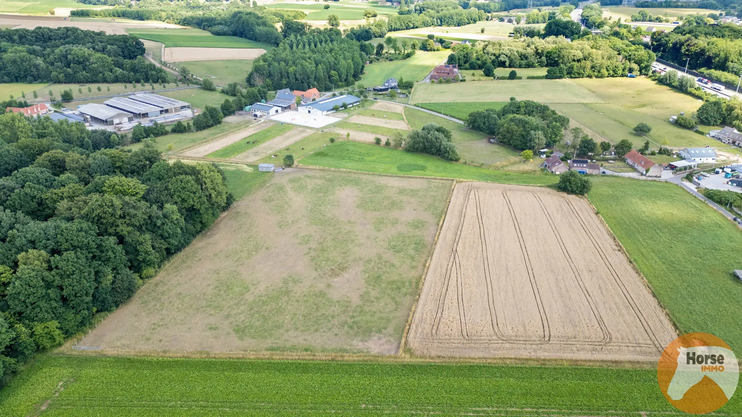 DILBEEK - Unieke paardeninfrastructuur op +-5,6ha foto 29