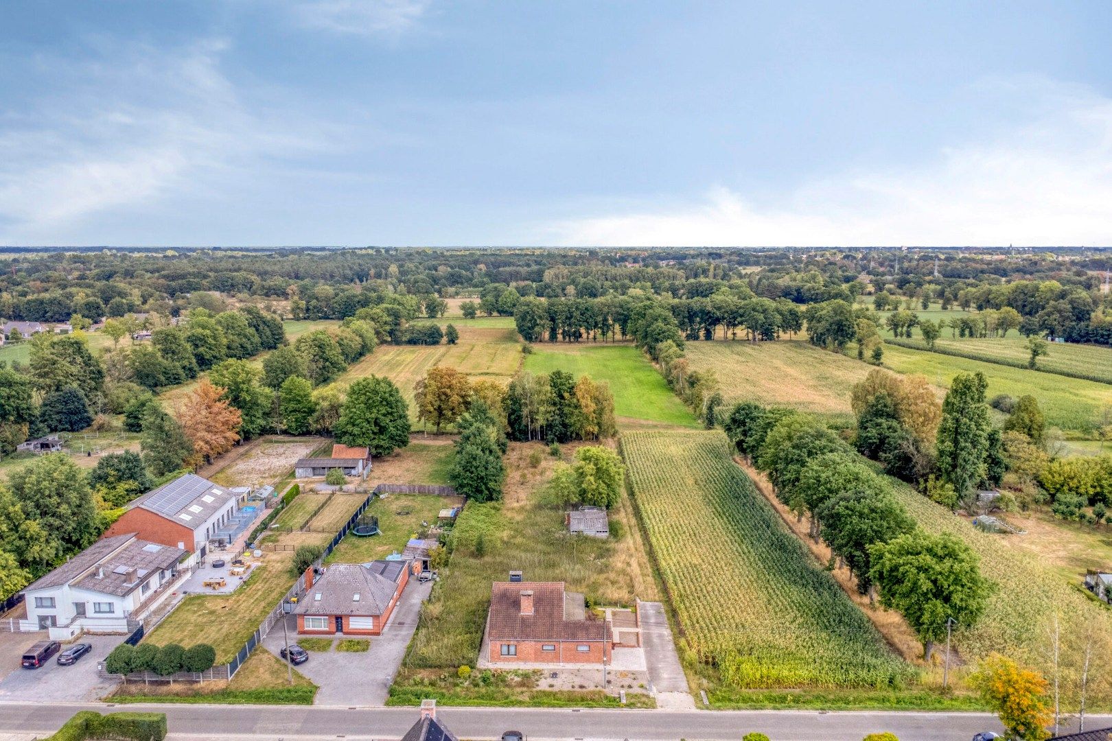Woning met 3 slaapkamers op 3.363 m², landelijk gelegen te Olen ! foto 2