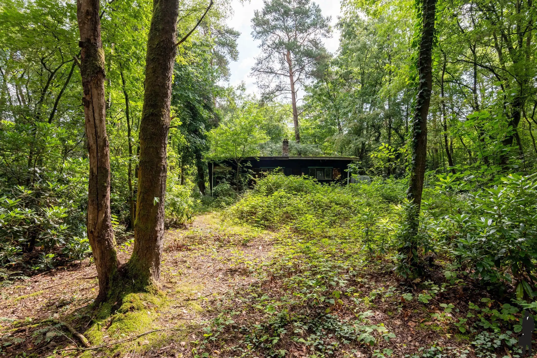 Bouwgrond met af te breken chalet foto {{pictureIndex}}