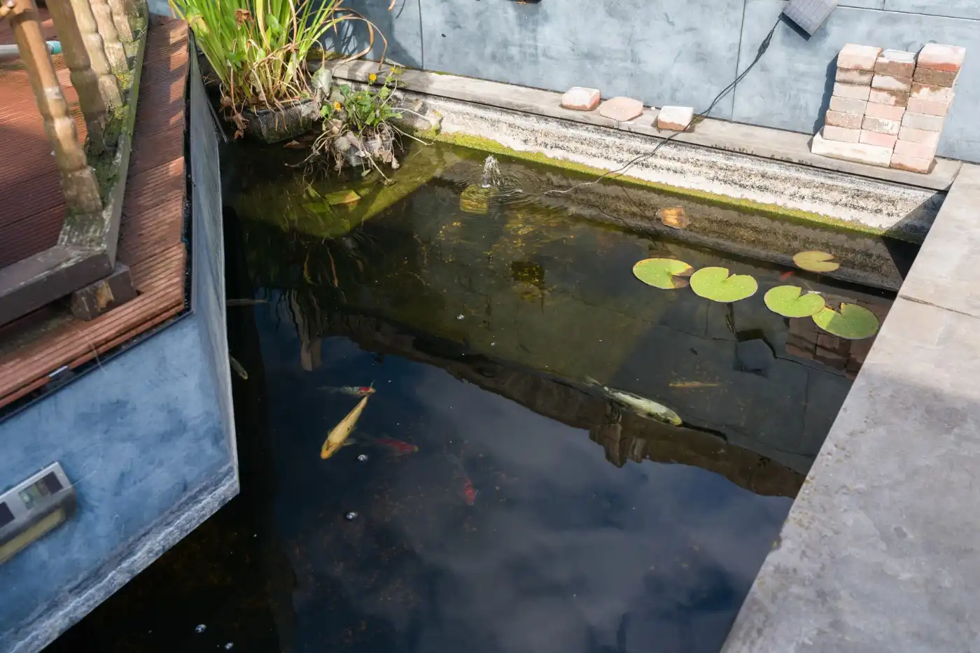 Gerenoveerde woning met 3 slpk. en tuin foto 22