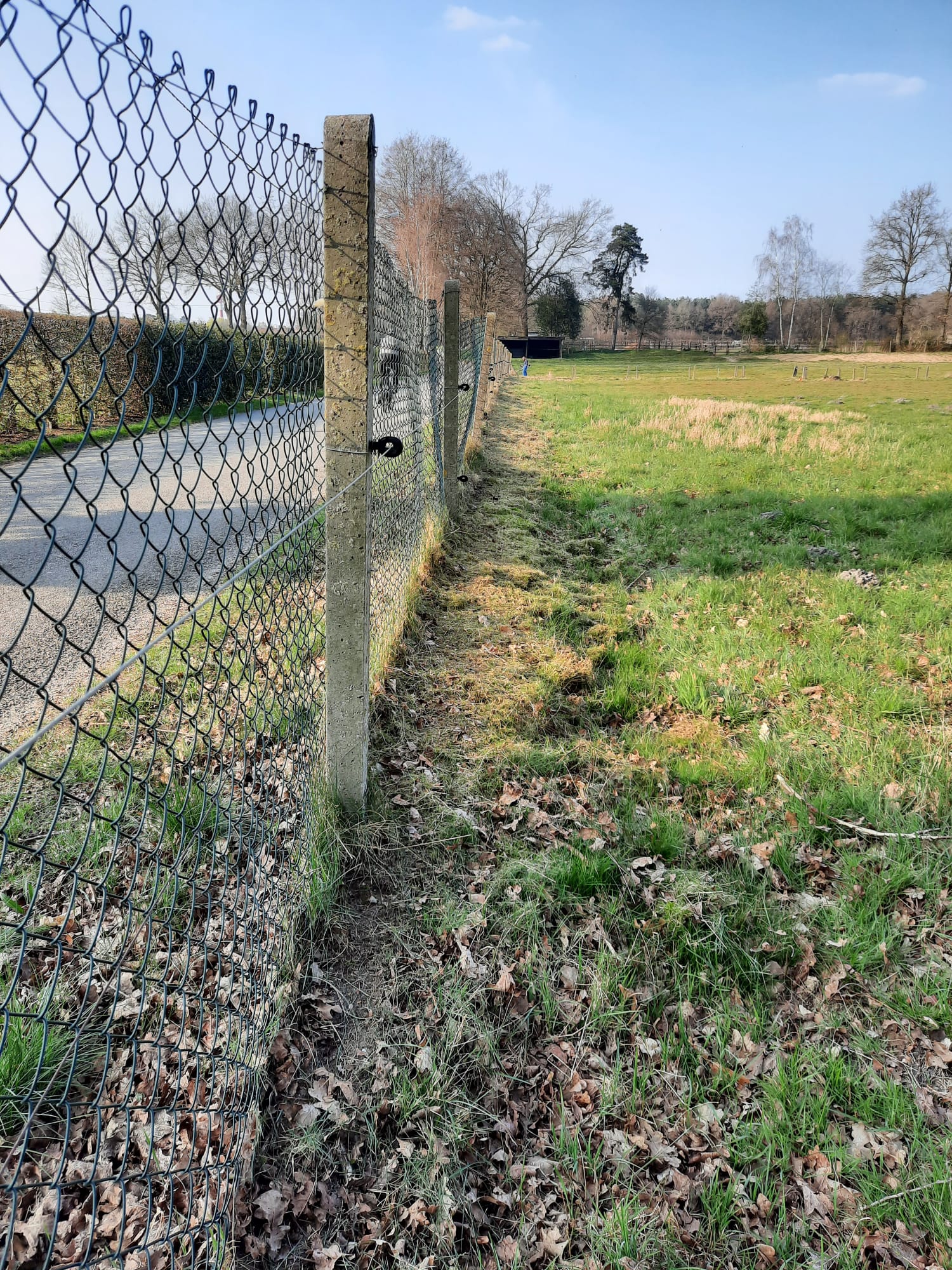 Mooie omheinde weide met schuilstallen te Helchteren  foto 7