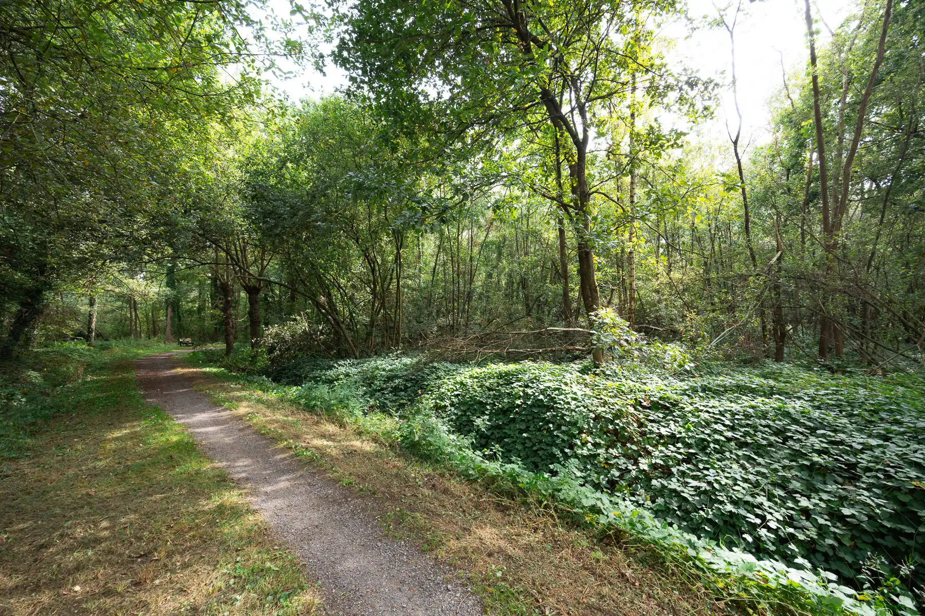 Prachtig stuk natuur foto 3