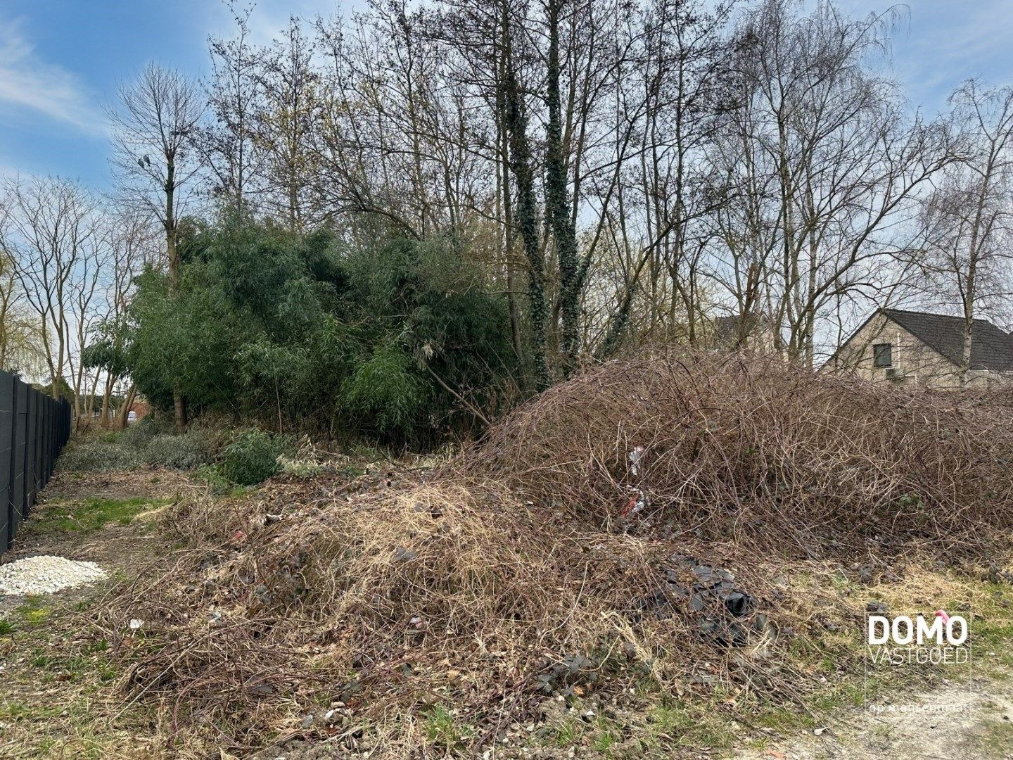 BOUWGROND MET EEN OPPERVLAKTE VAN 5A56 VOOR OPEN BEBOUWING TE KOOP IN LEOPOLDSBURG  foto 2