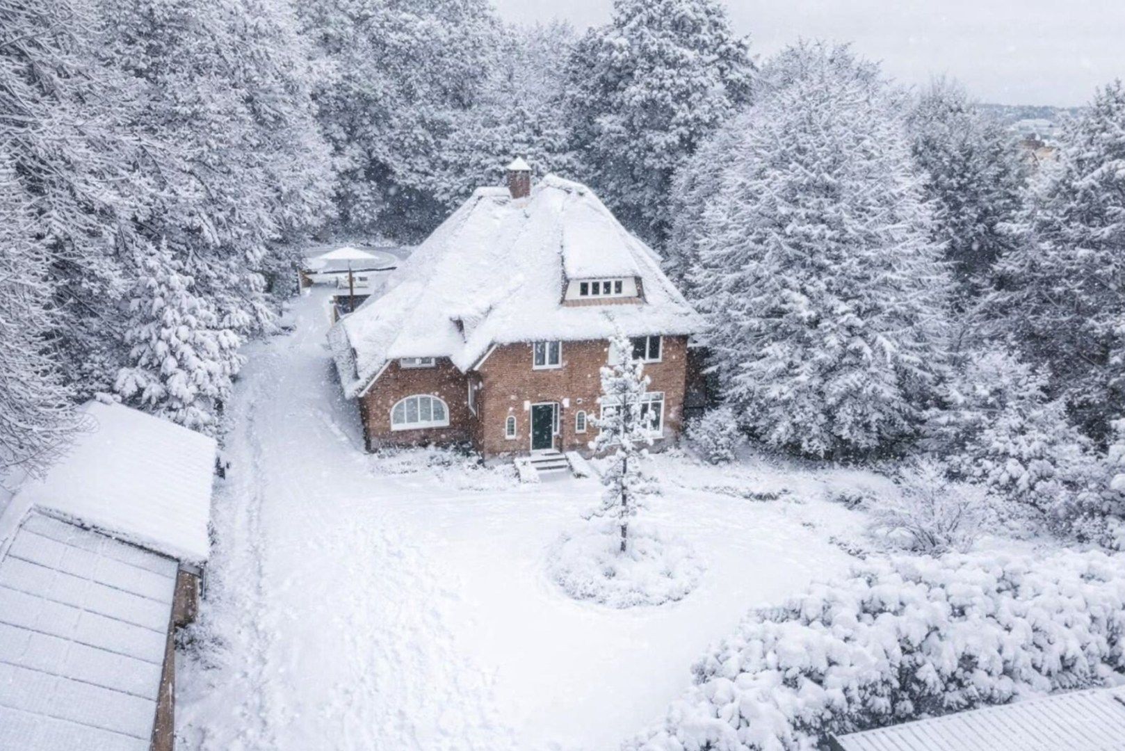  foto {{pictureIndex}}