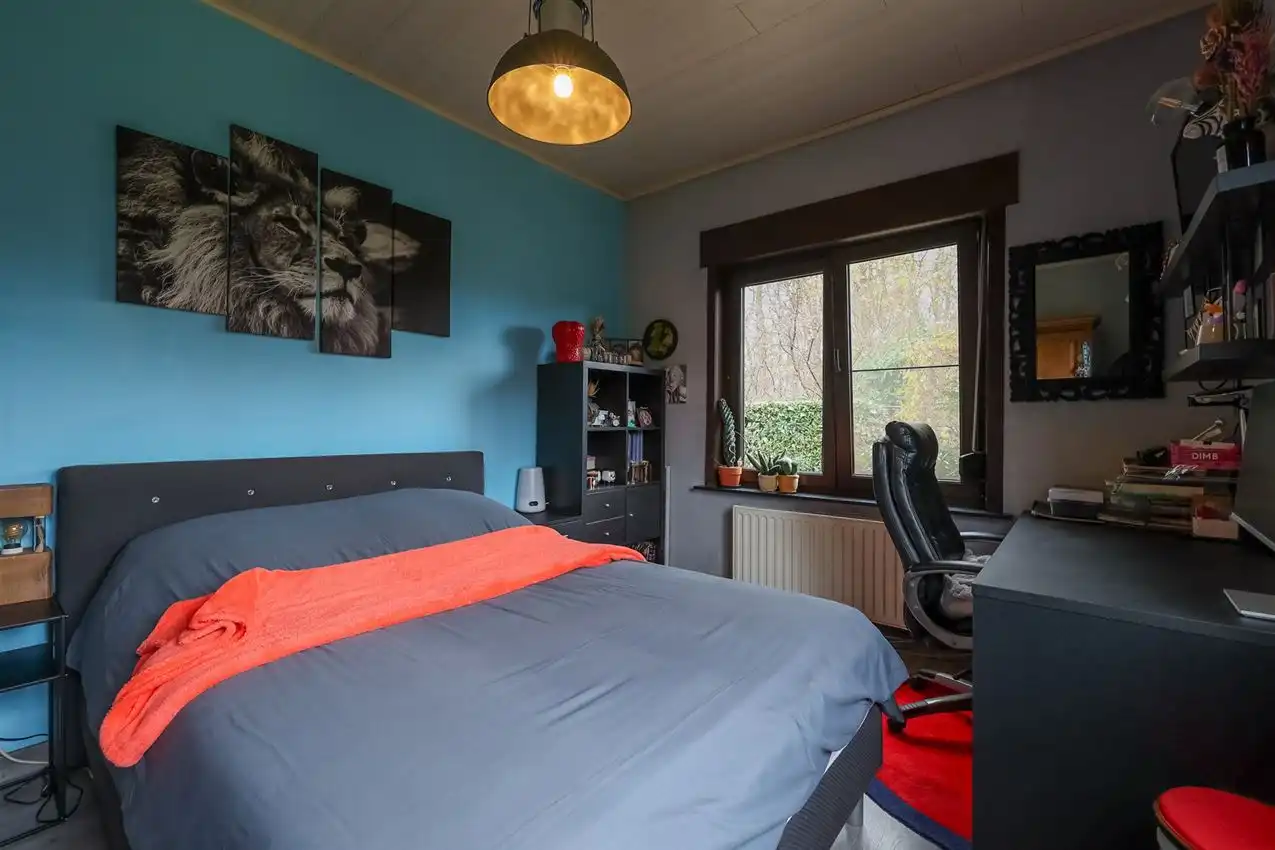 Toffe woning met weiland van meer dan 1Ha foto 18