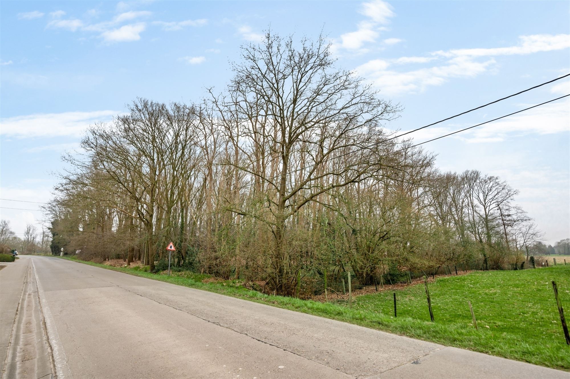 Perceel met bomen te Sint-Katelijne-Waver foto 3