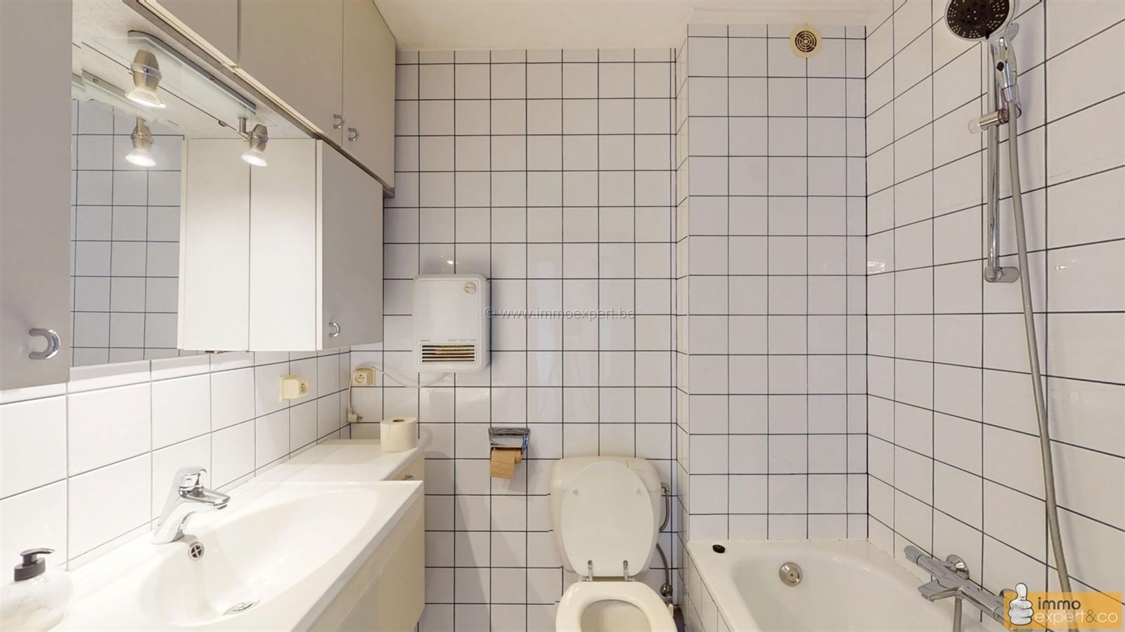 TERNAT: Woning centraal gelegen met 5 slpks en 2 badks foto 21