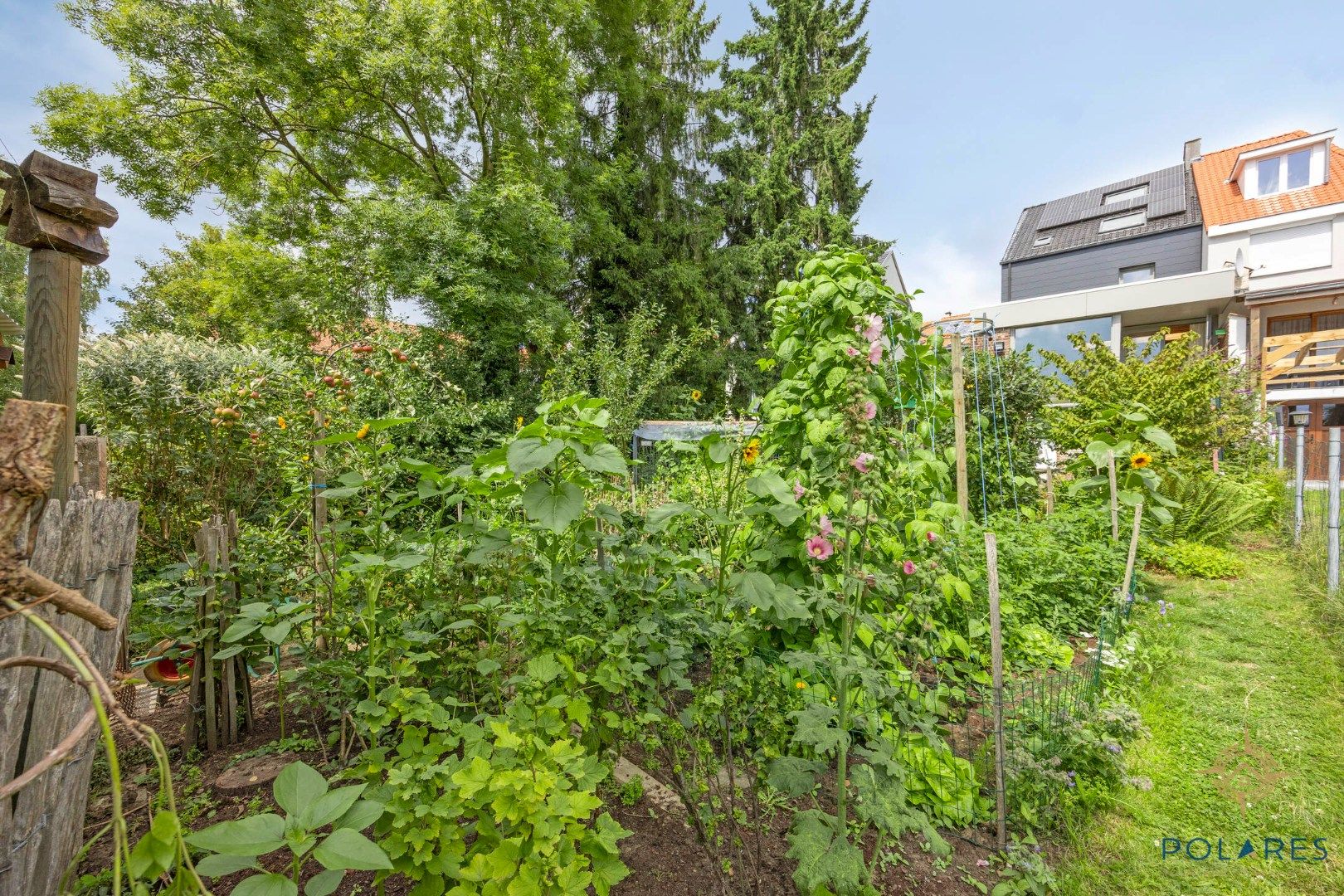 Goed gelegen bouwgrond voor gesloten bebouwing in centrum Beersel foto 6