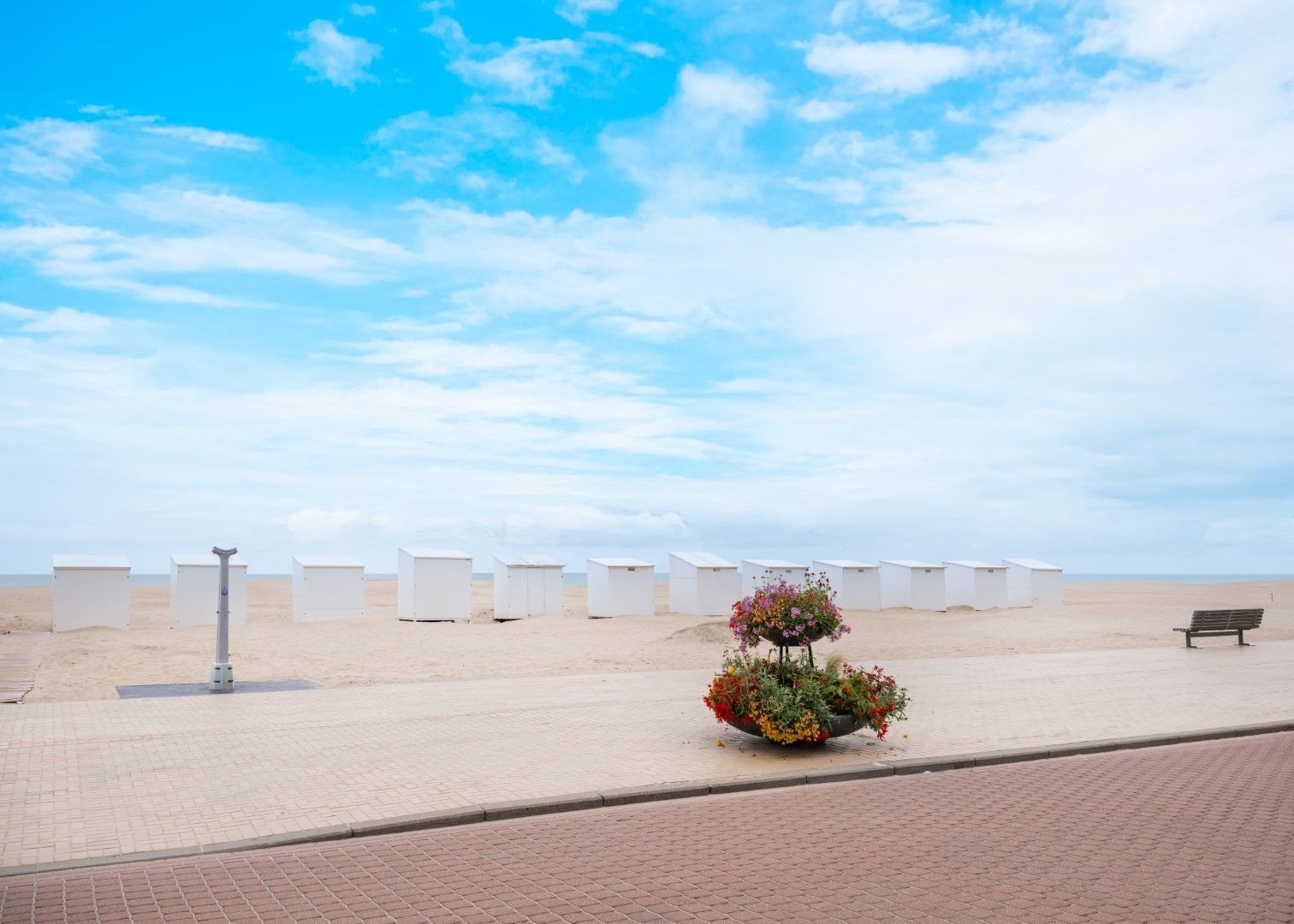 Dante - 03.02 foto 15