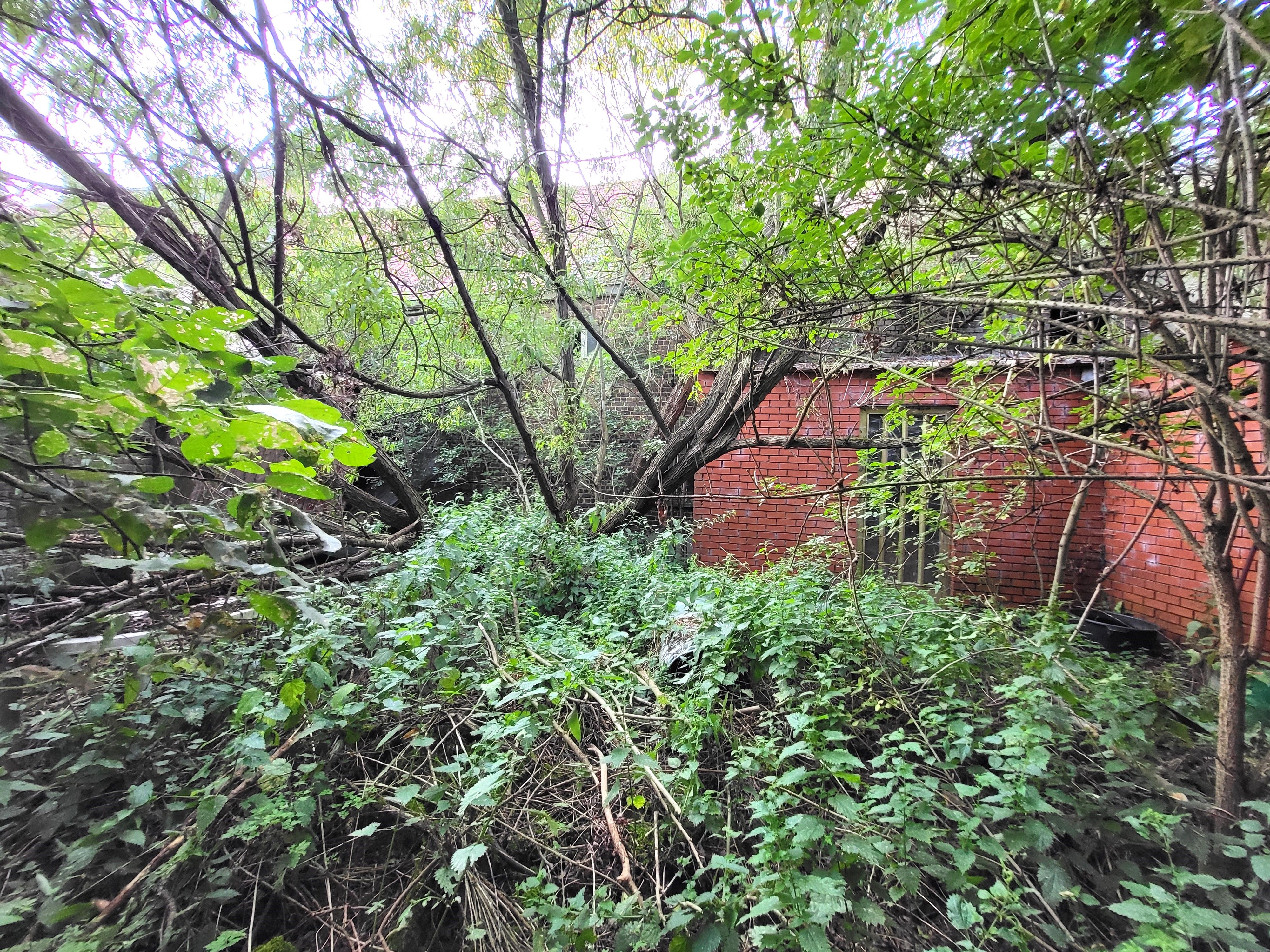 Prachtig te renoveren burgerwoning op 318m² met ruime garage en stalling. foto 5