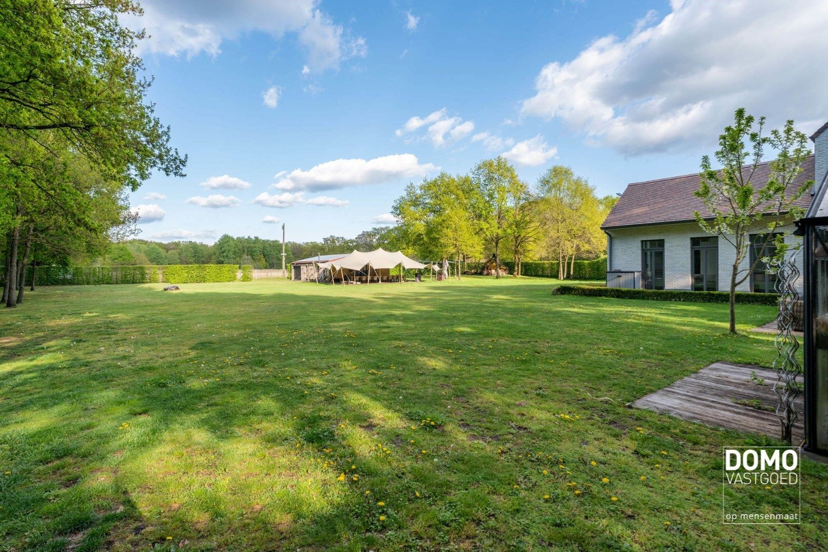 Exclusieve villa, zeer rustig gelegen, aan de groene bossen van Bolderberg. foto 3