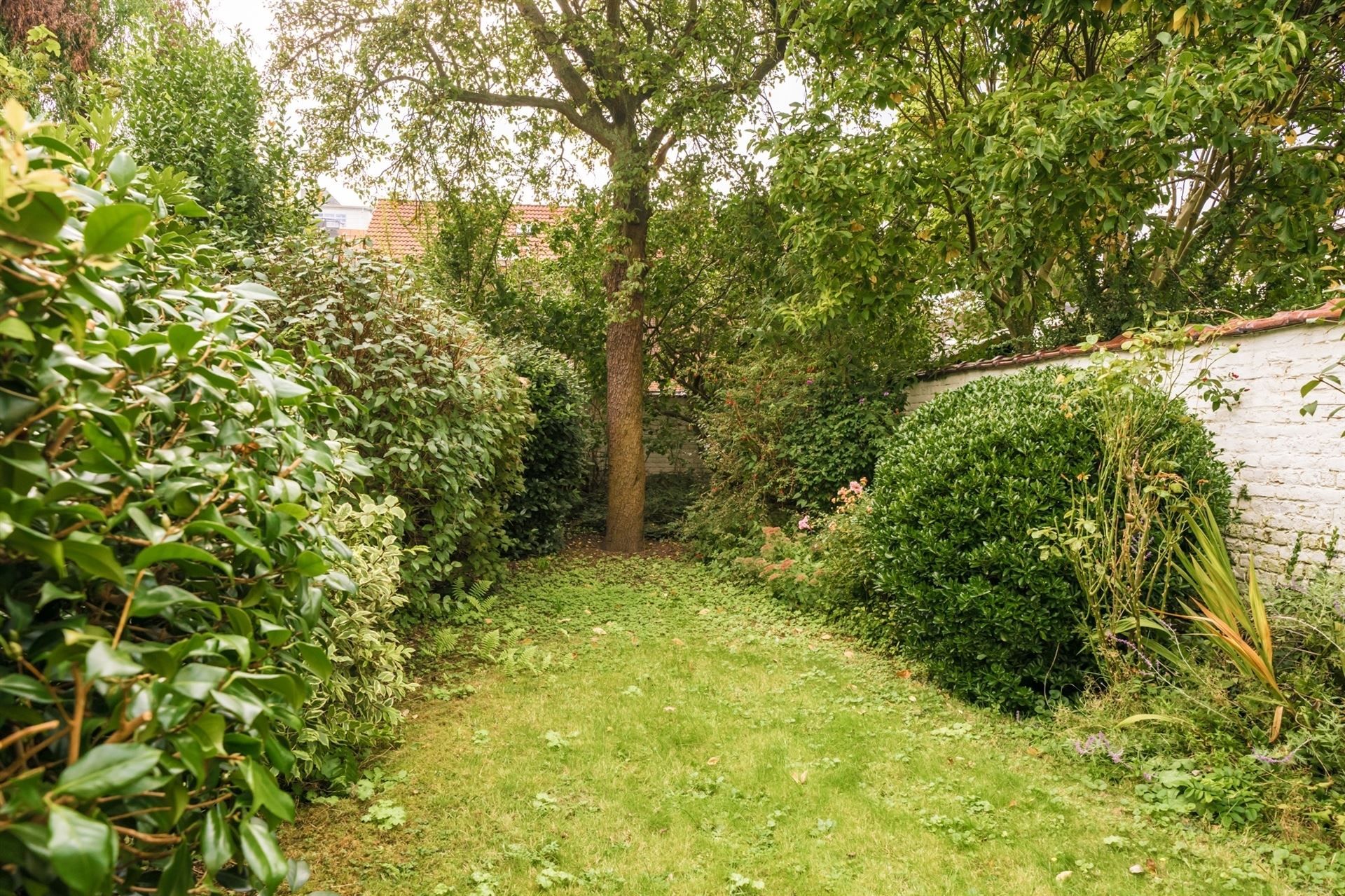 PRACHTIG HERENHUIS MET TUIN IN DE EU WIJK foto 6