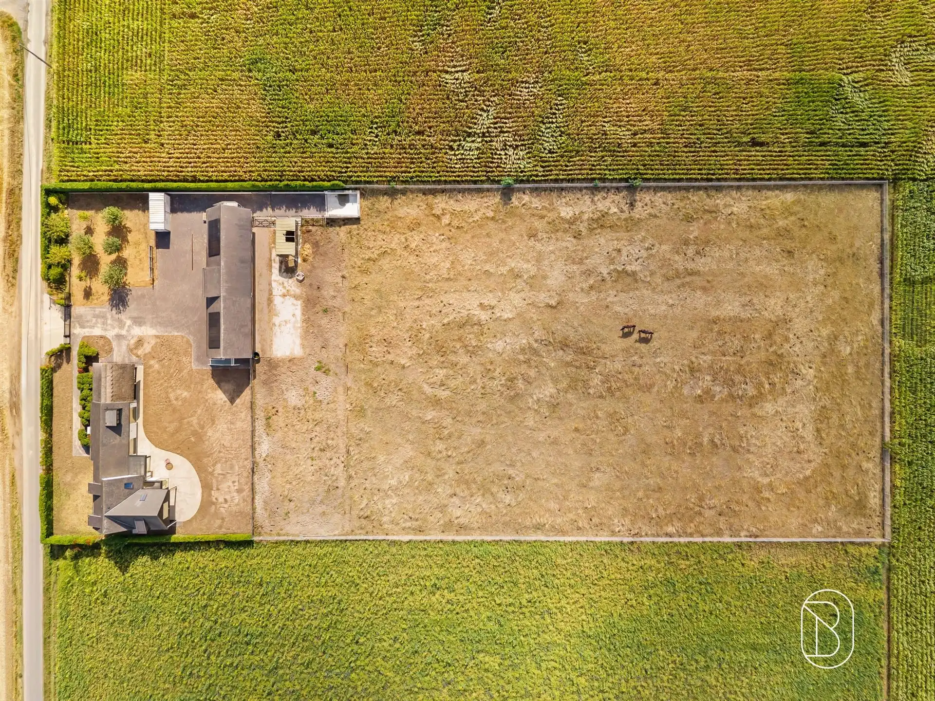 Prachtig gelegen klassewoning met paardenstallen.  foto 32