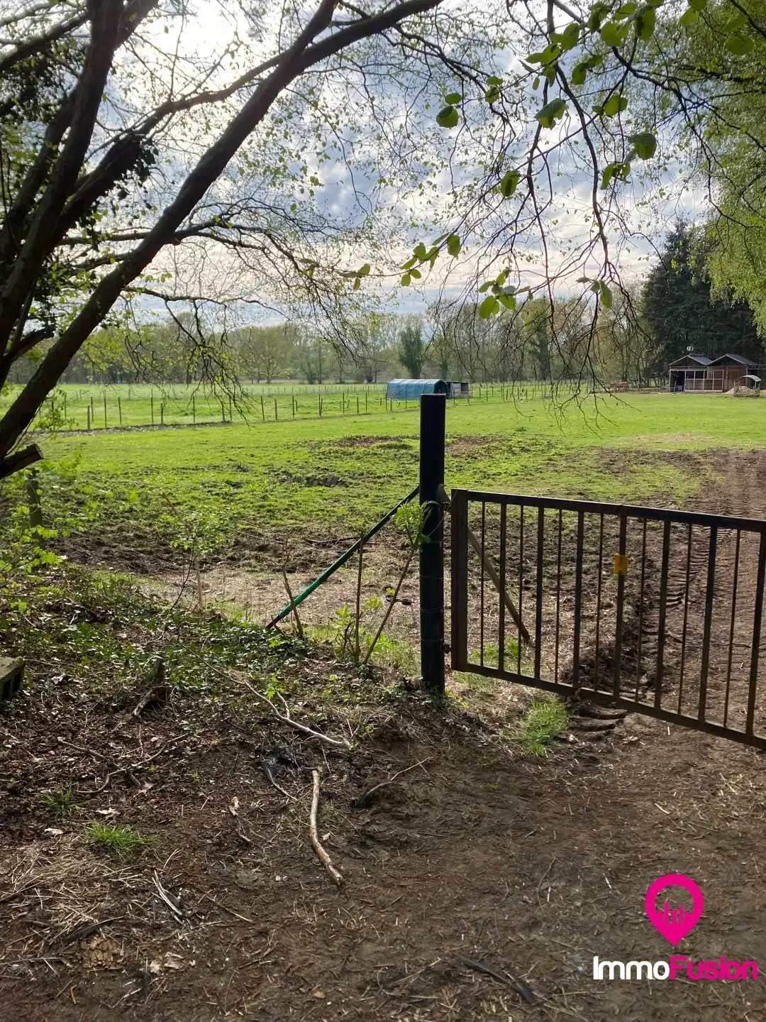 Ideale weide voor dierenliefhebbers in landelijke omgeving foto 10