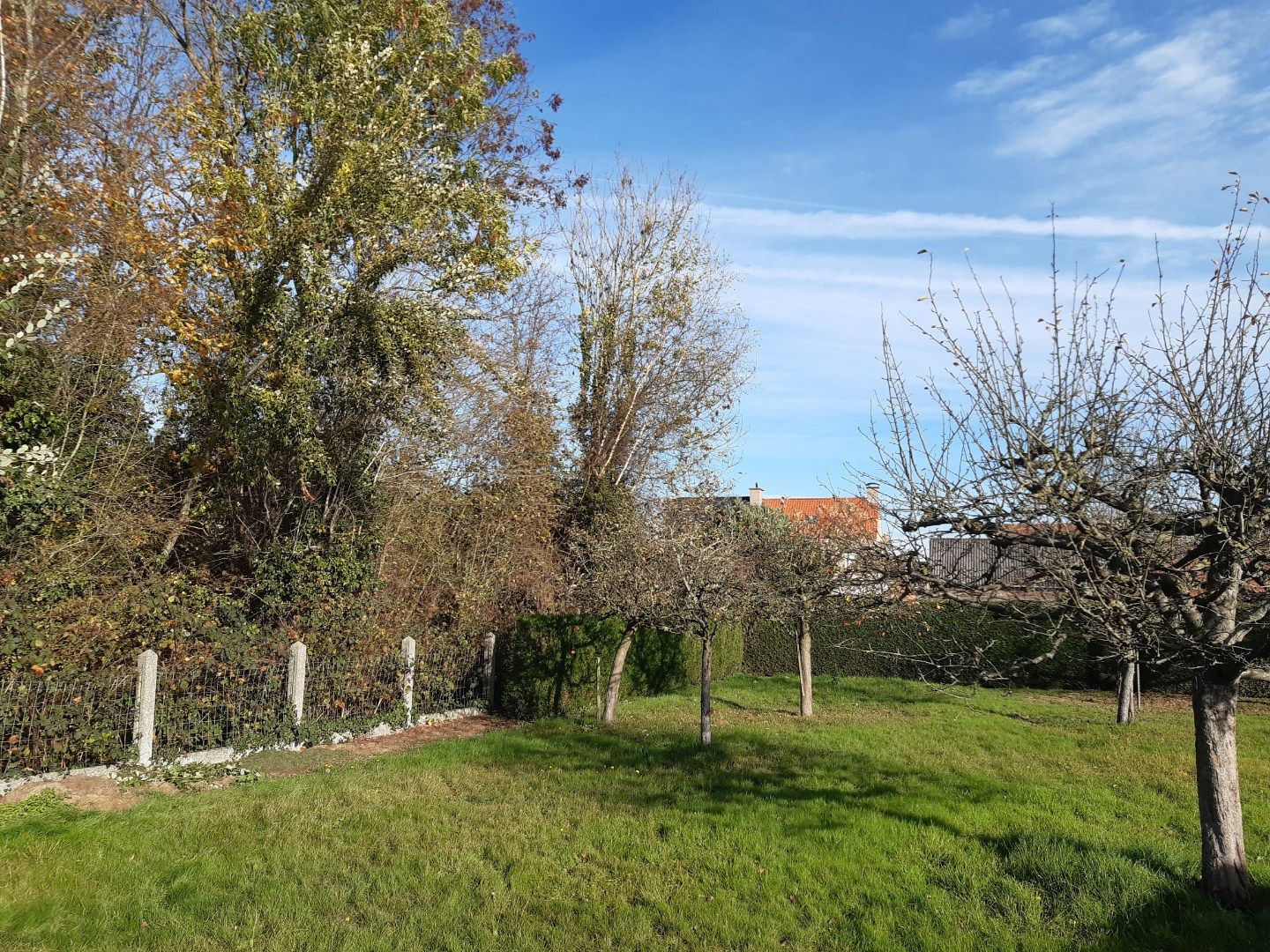 Tijdloos en rustig wonen. foto 28