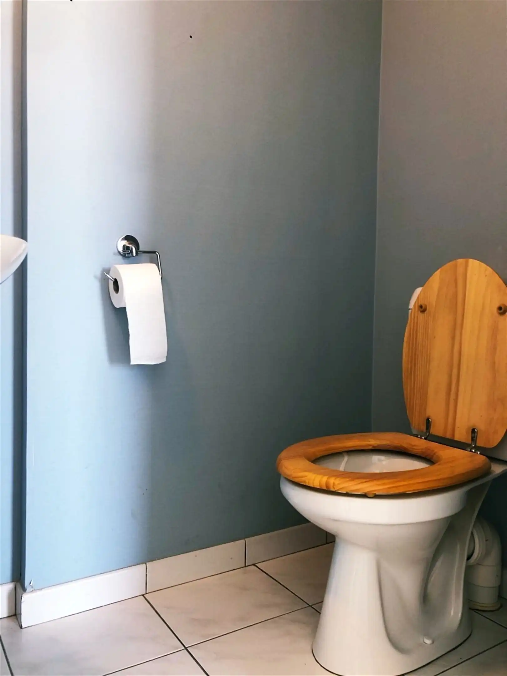 Appartement met 2slpks & garage te Sint-Gillis-Dendermonde foto 12