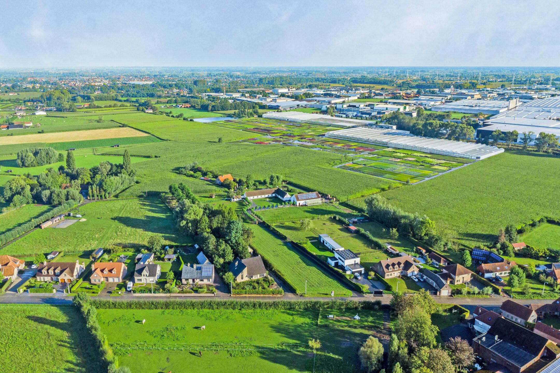 Bouwgrond (2850m²) voor open bebouwing te koop in Waregem foto 16