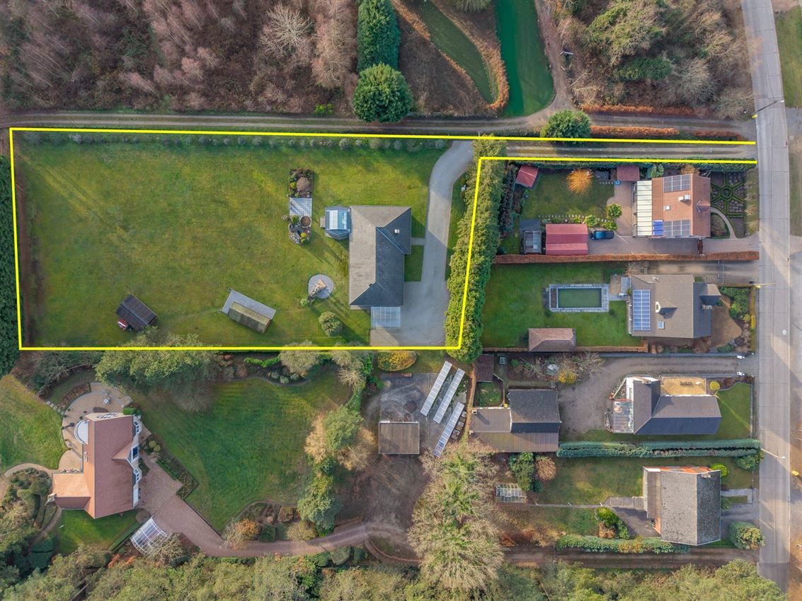 verborgen parel in het groen foto 2