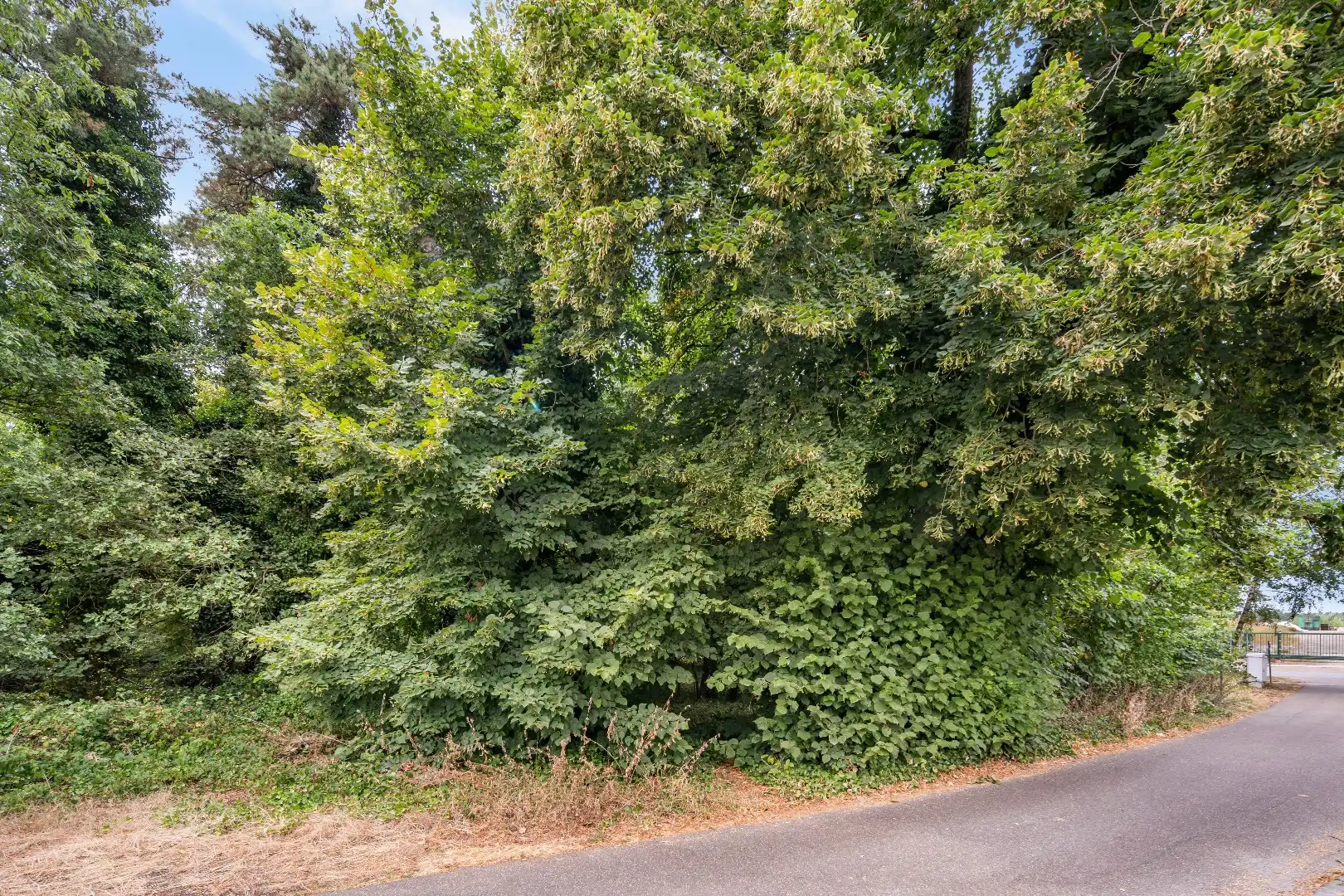 Grond voor dagrecreatie, 18a60ca  foto 7