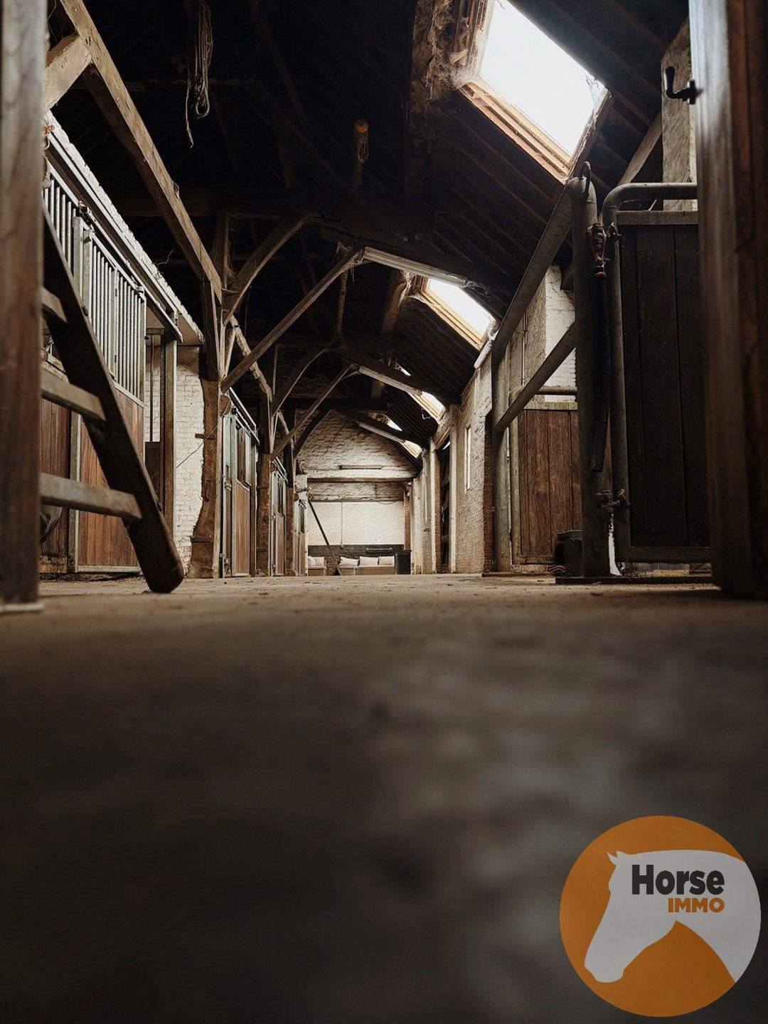 REET – 14 paardenstallen, buitenpiste en weides foto 3