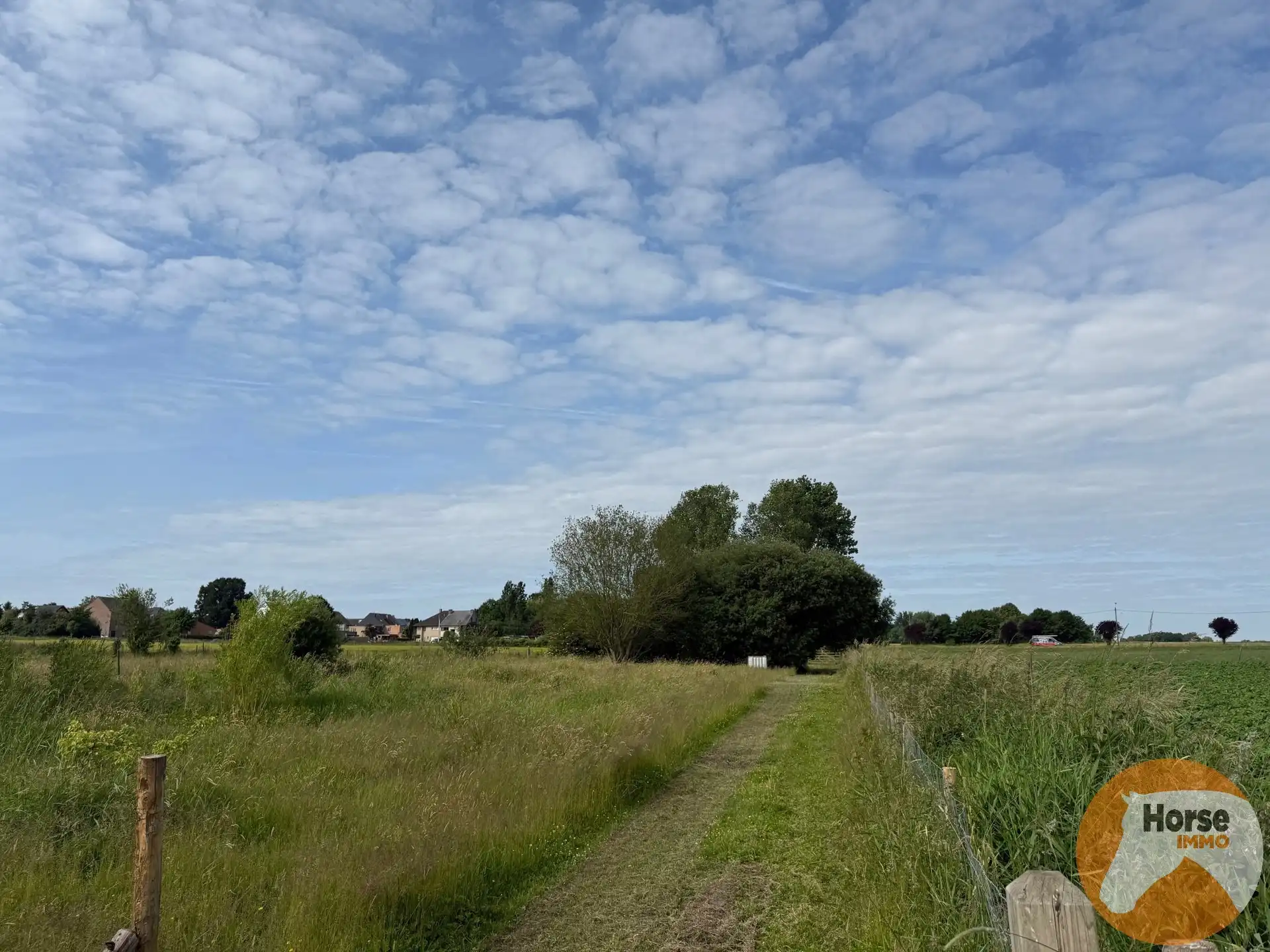 HUMBEEK - Droomplek voor paarden met weide, stallen en piste foto 5