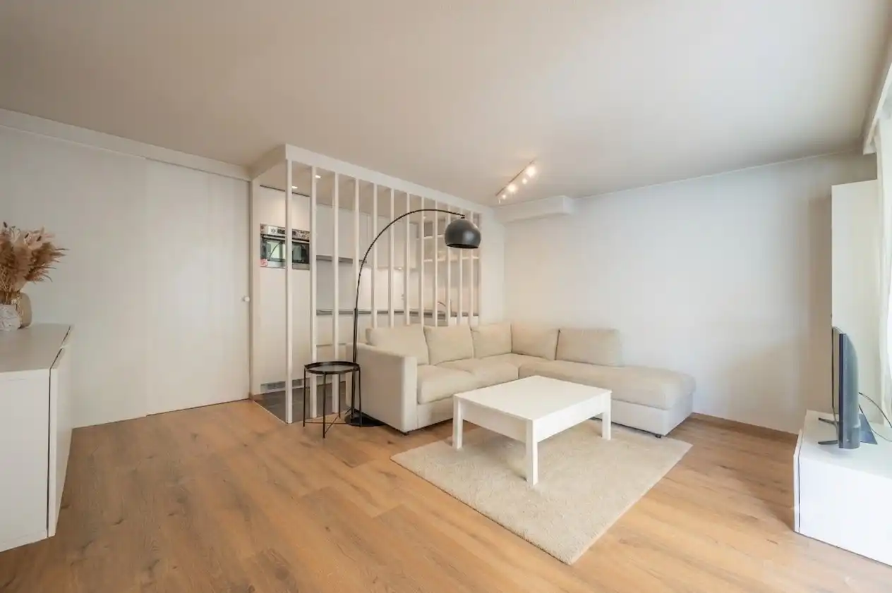 Hoofdfoto van de publicatie: Dakappartement met zonneterras