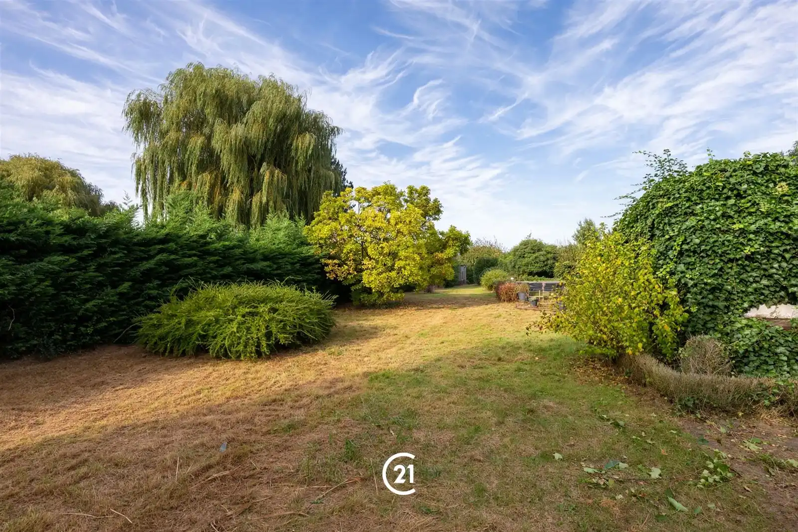 Villa bungalow met 3 slaapkamers, tuin en weide op +/-40are foto 2