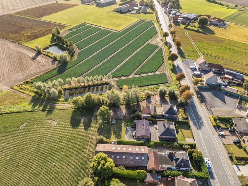 Centrum Sint-Henricus :  Te renoveren woning op 1876 m² foto 2