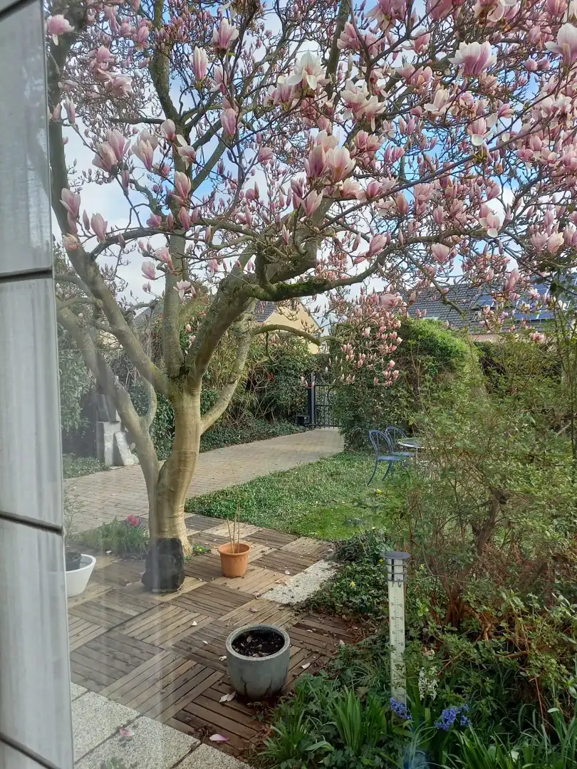 Kunstenaarswoning Toon Vanmechelen foto 12