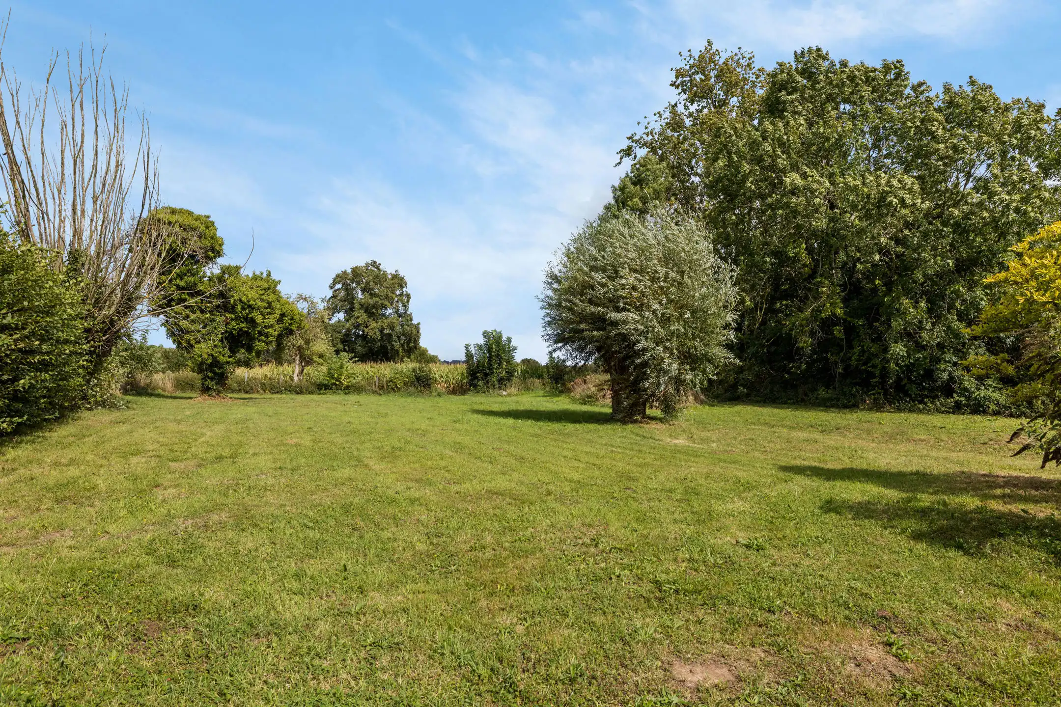 Gezellige woning met  grote tuin en open zicht  op 11a 70ca foto 4