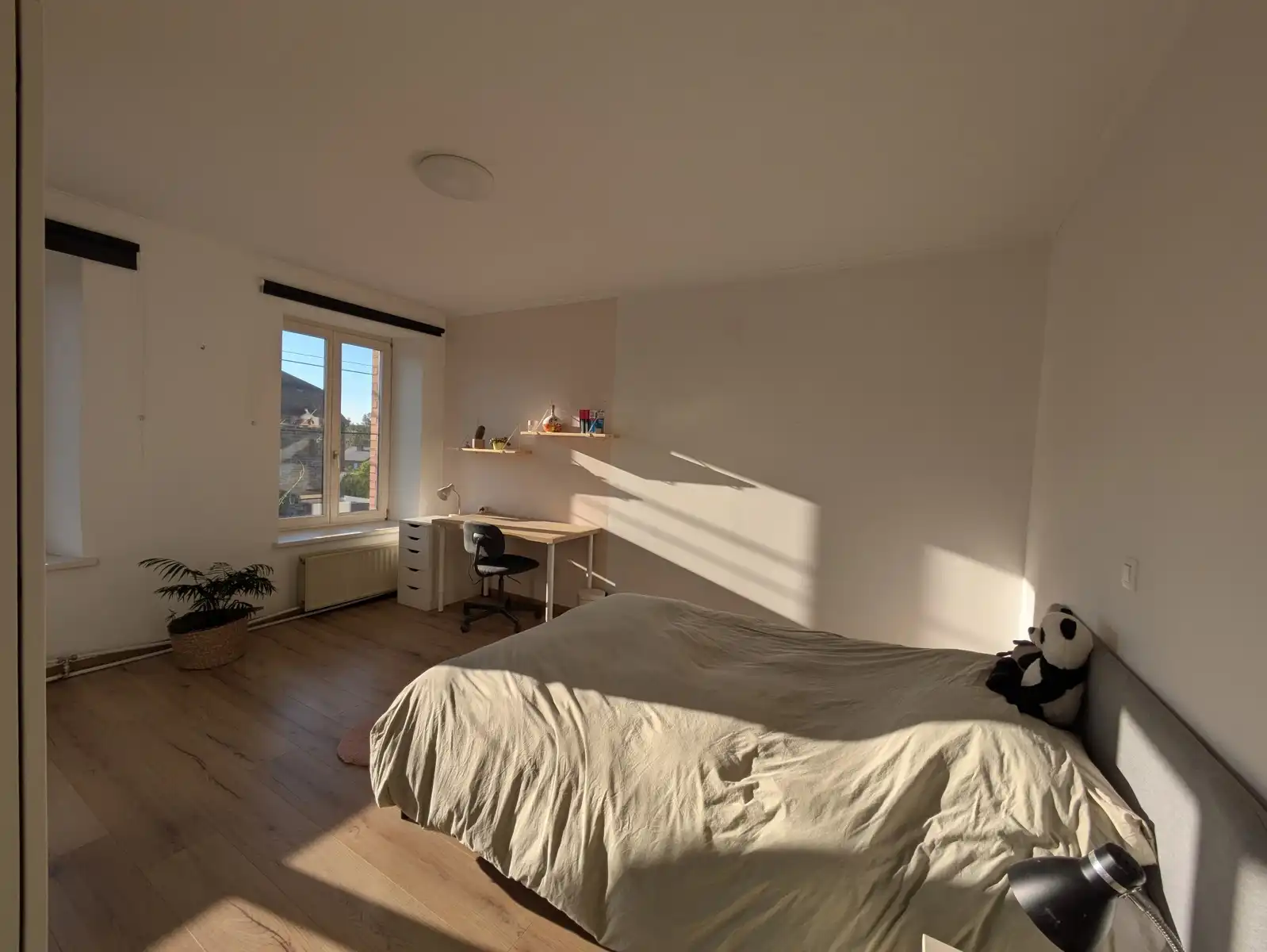 Huis te koop foto 19