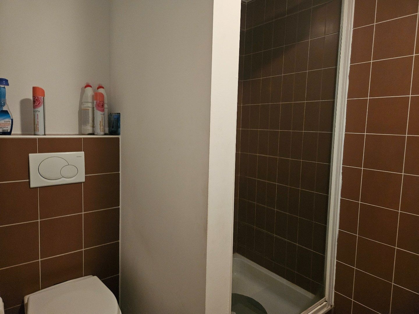 Rustig gelegen studio met ruim terras te St.-Jozef-Olen ! foto 6