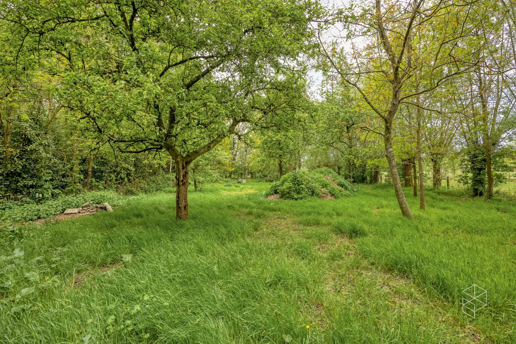 Karaktervolle villa met polyvalent bijgebouw, zwemvijver & aangelegde tuin met uitweg op 4.012m² foto 19