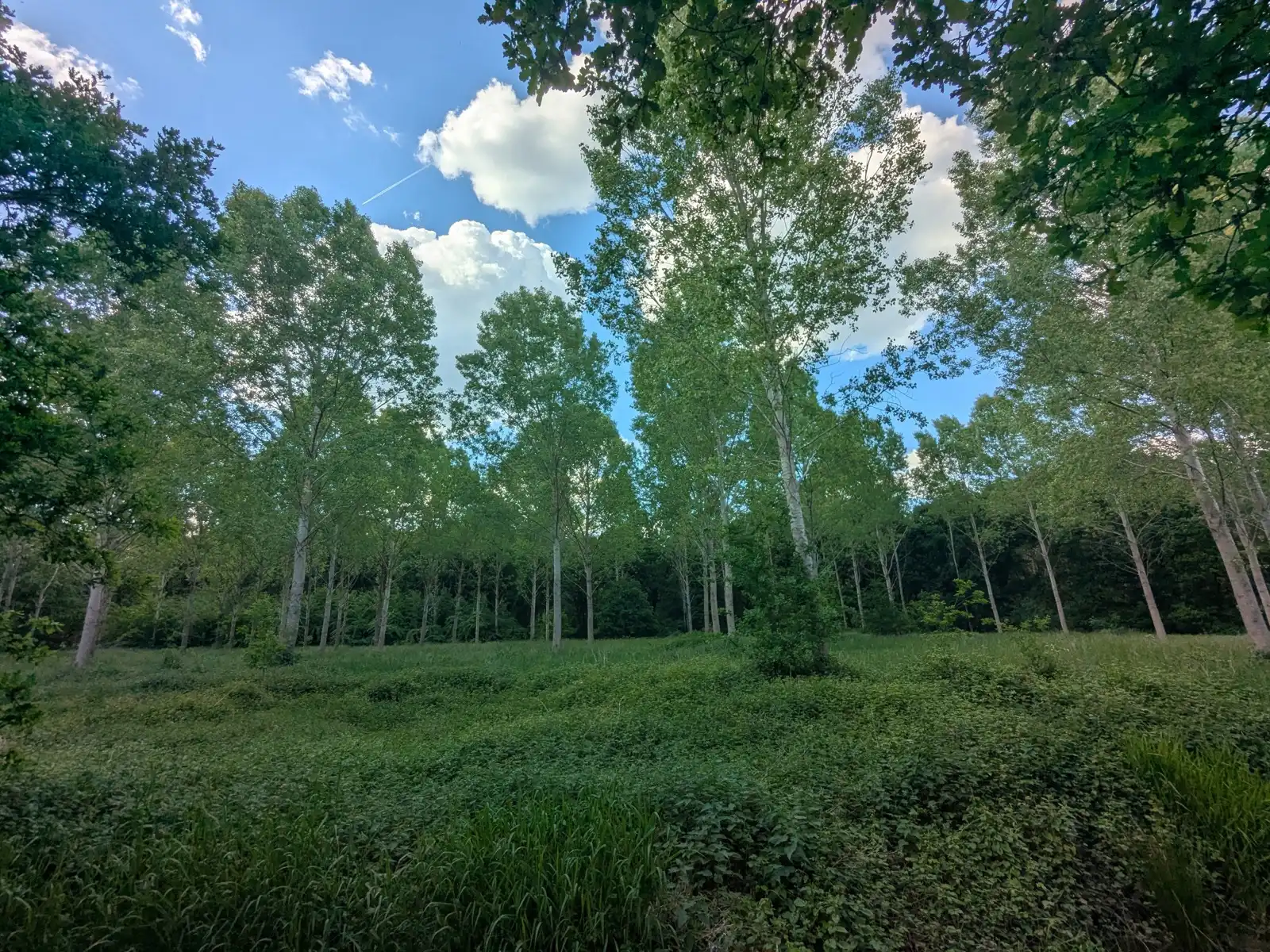 Grond te koop 3150 Haacht