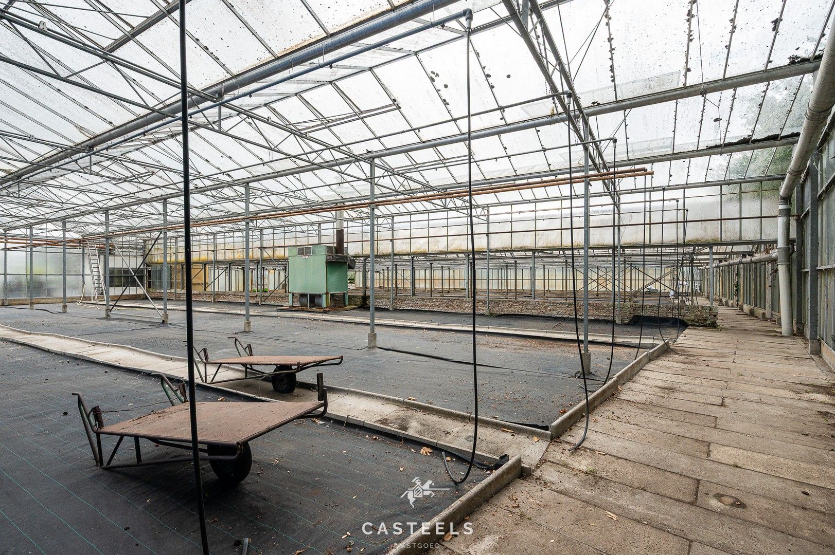 Uitzonderlijke tuinbouwsite in hartje Lochristi - 2,5 hectare met tal van mogelijkheden foto 9